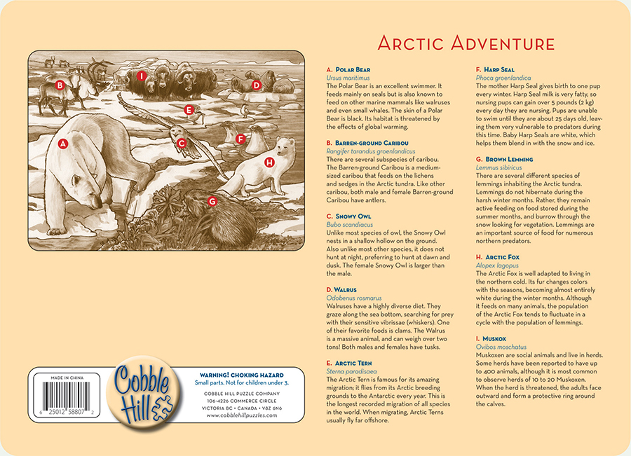Barnpussel - Artic Adventure, 35 Bitar Rampussel. Baksida