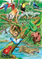 Barnpussel - Life In A Tropical Rainforest, 35 Bitar Rampussel