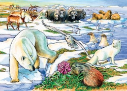 Barnpussel - Artic Adventure, 35 Bitar Rampussel