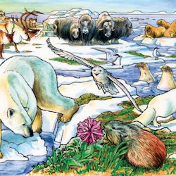 Barnpussel - Artic Adventure, 35 Bitar Rampussel