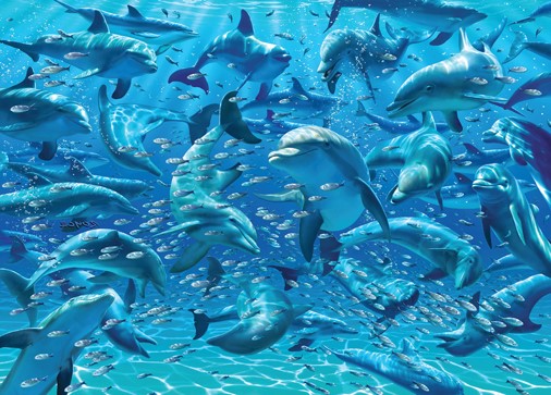Dubbelsidigt pussel - Dolphins, 500 Bitar