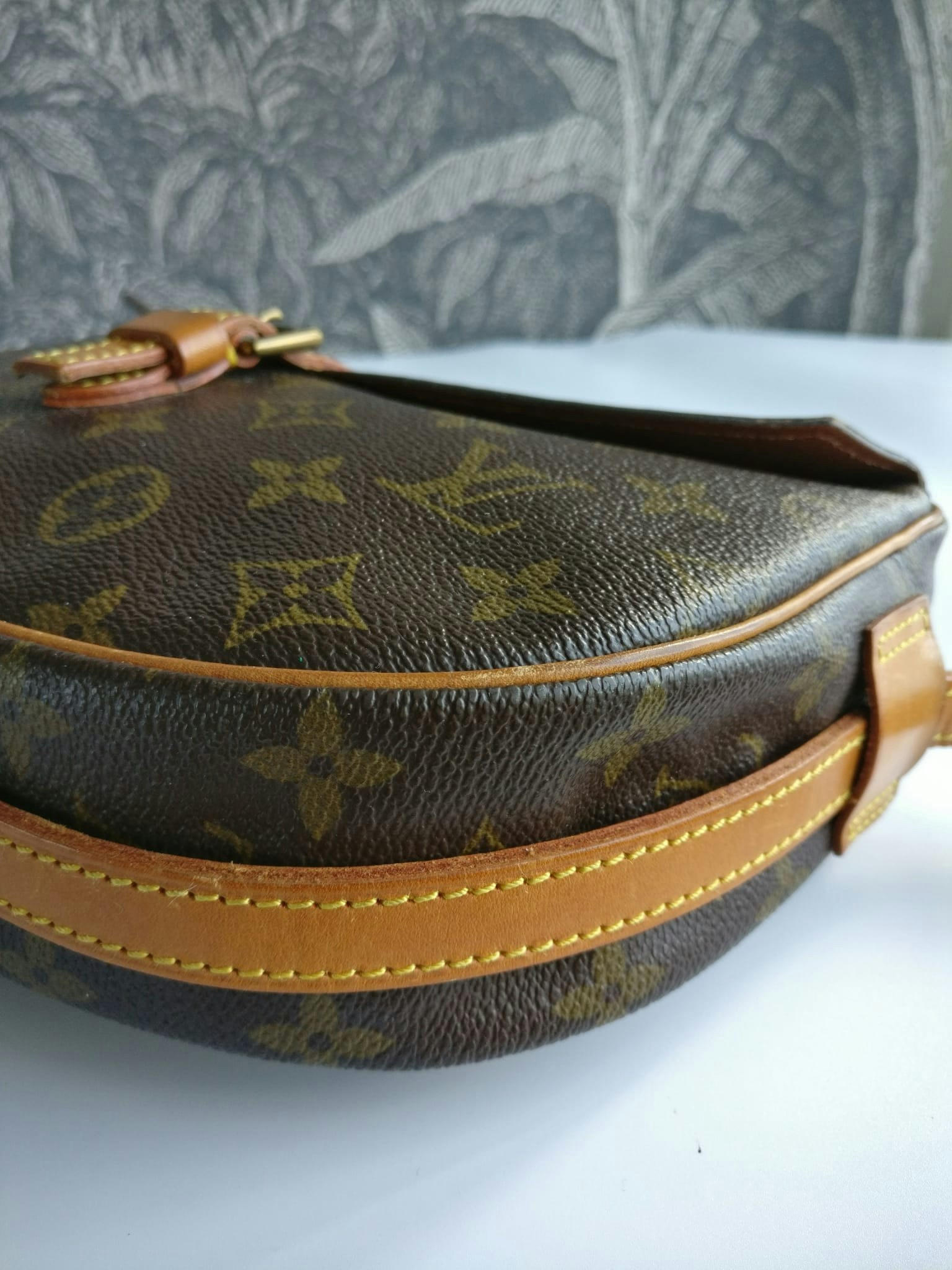 Louis Vuitton Monogram Jeune Fille GM Crossbody Bag Leather ref.373247 -  Joli Closet