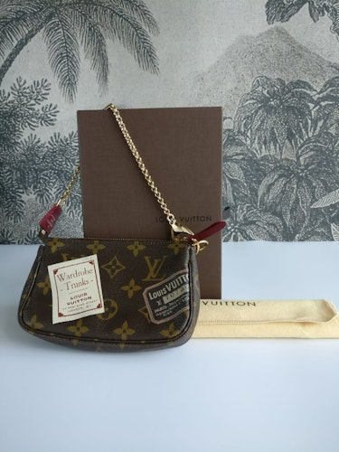 Louis Vuitton Mini Pochette Trunks & Bags