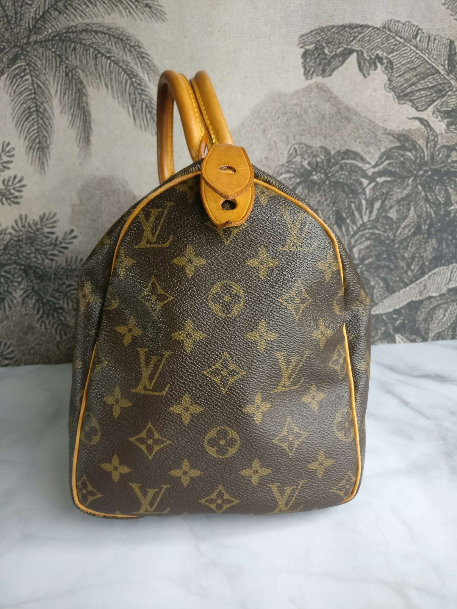 Louis Vuitton Speedy 30