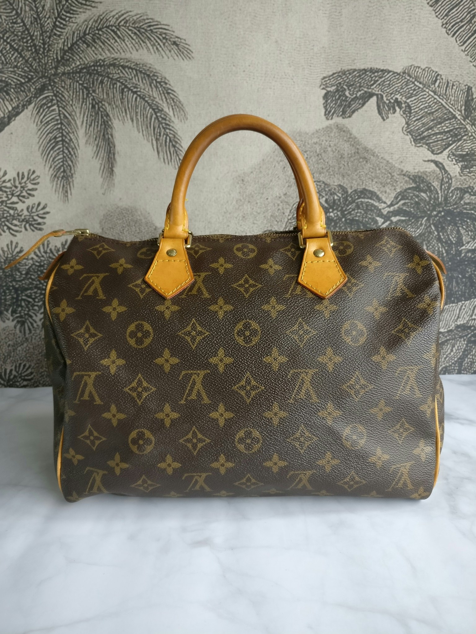 Louis Vuitton Speedy 30