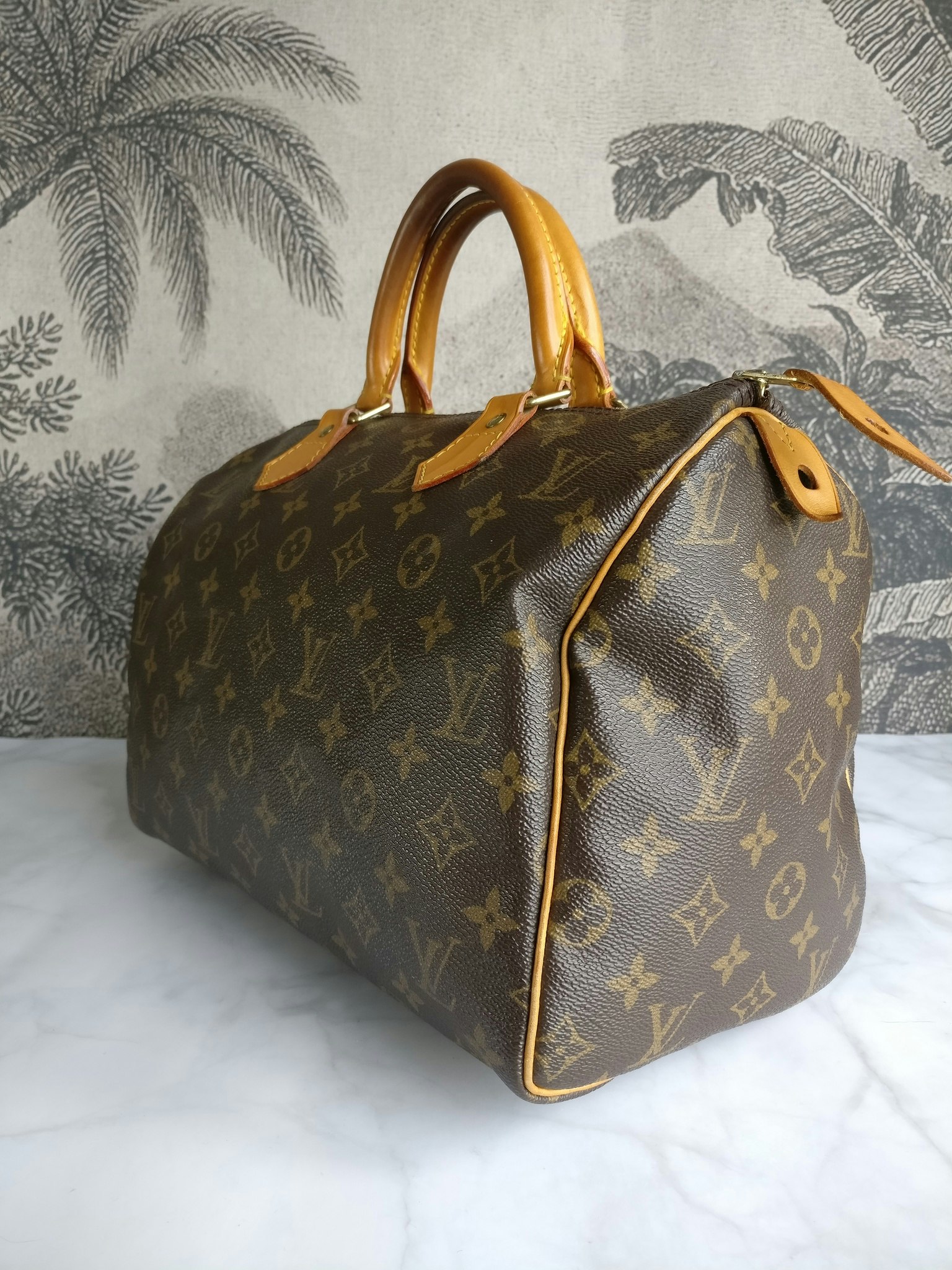 Louis Vuitton Speedy 30