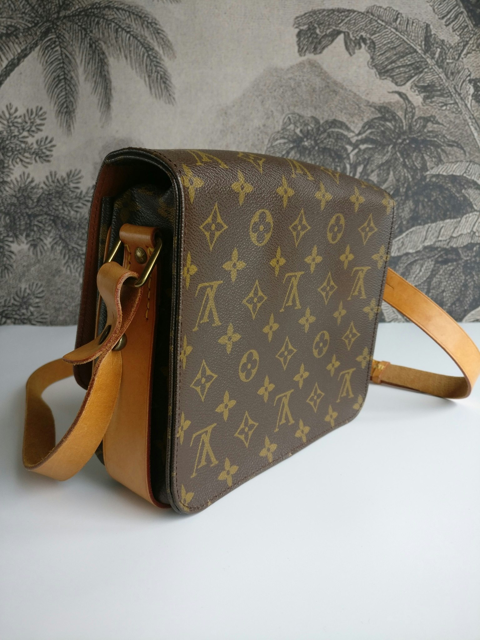 Louis Vuitton Cartouchiere MM