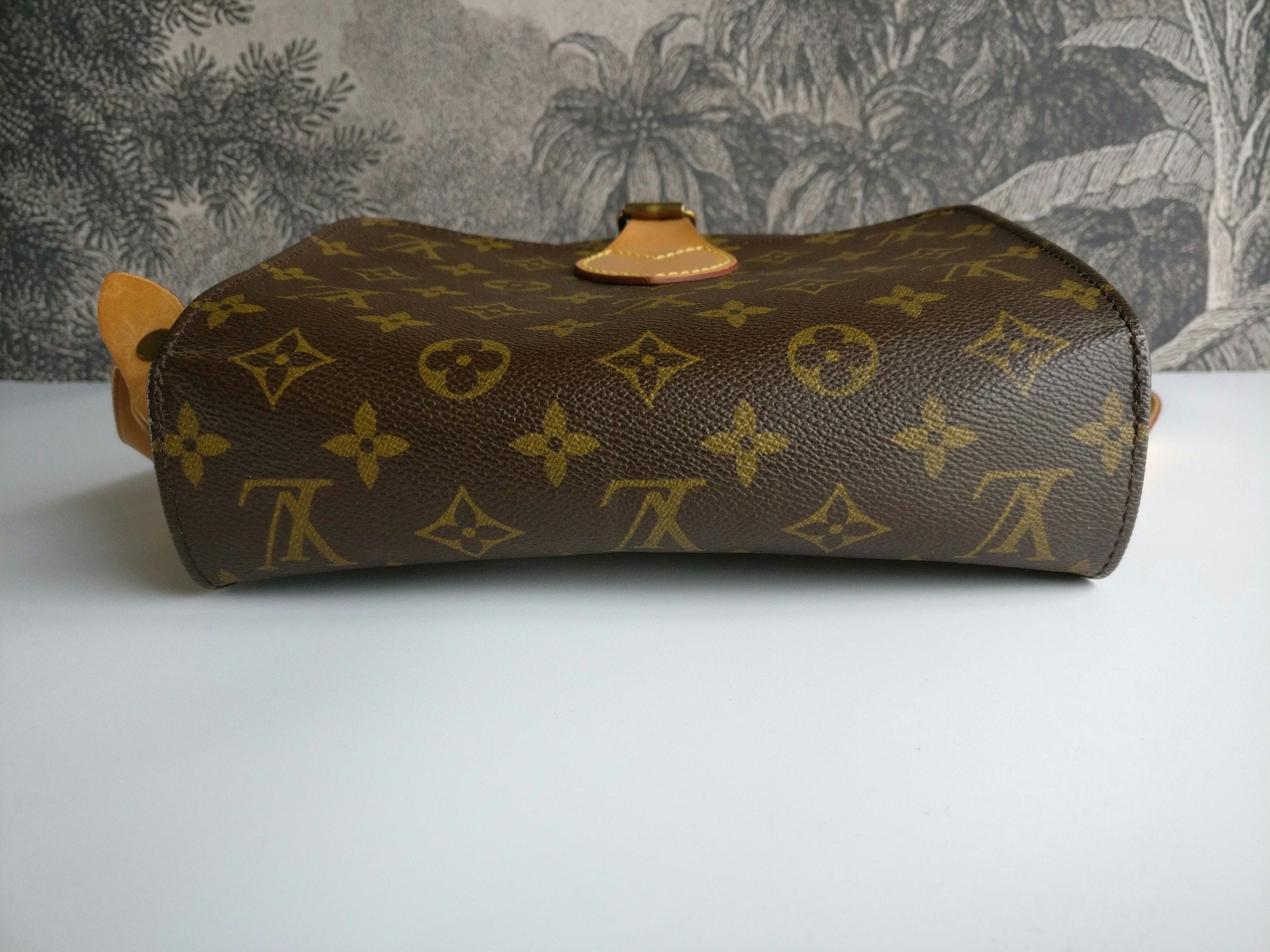 Louis Vuitton Cartouchiere MM