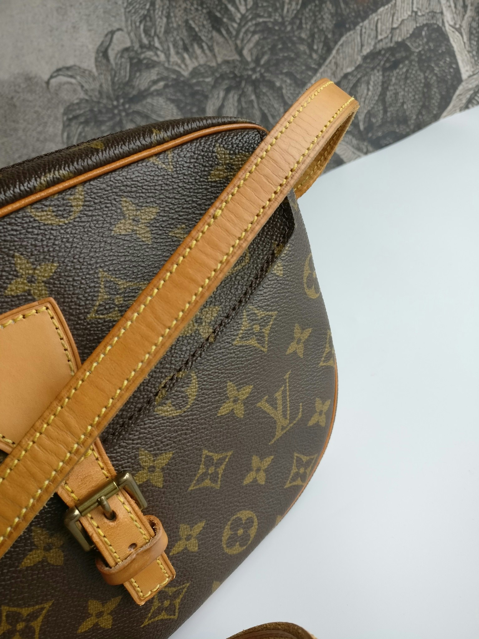 Coated Canvas Louis Vuitton Jeune Fille MM Brown Leather ref.993536 - Joli  Closet