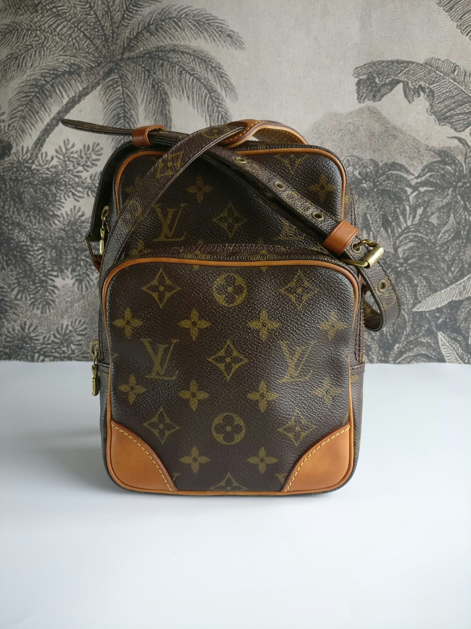 Louis Vuitton Amazon - Good or Bag