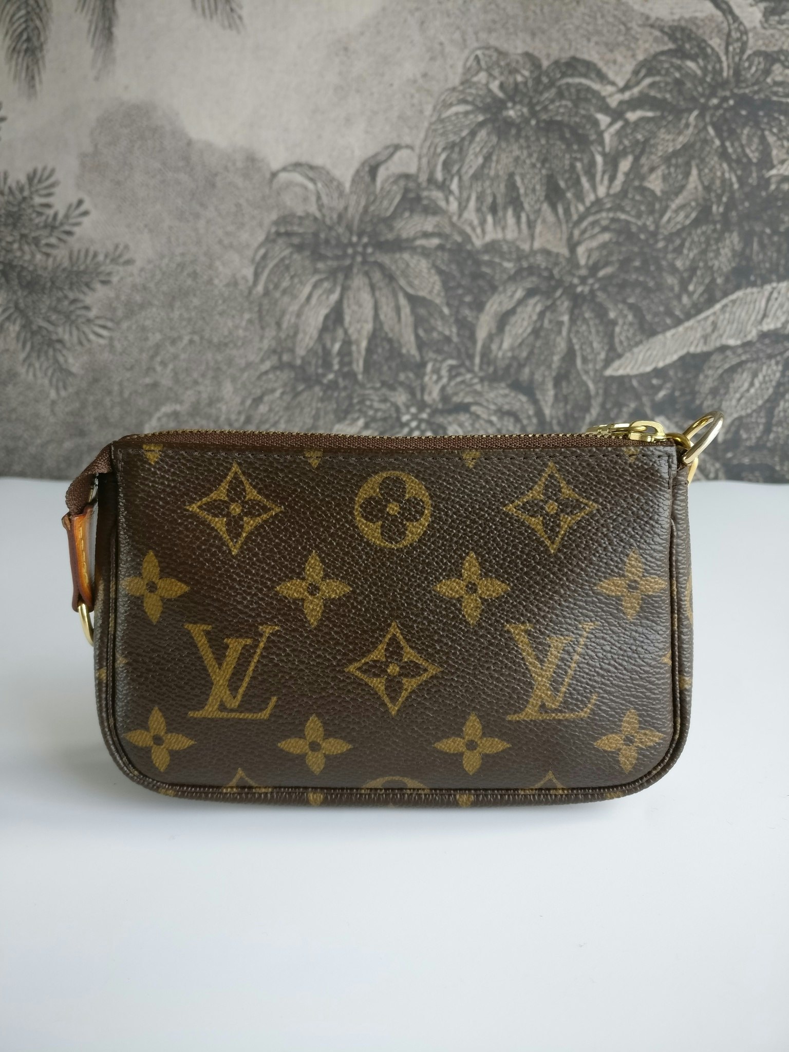 Louis Vuitton Mini Pochette Accessories