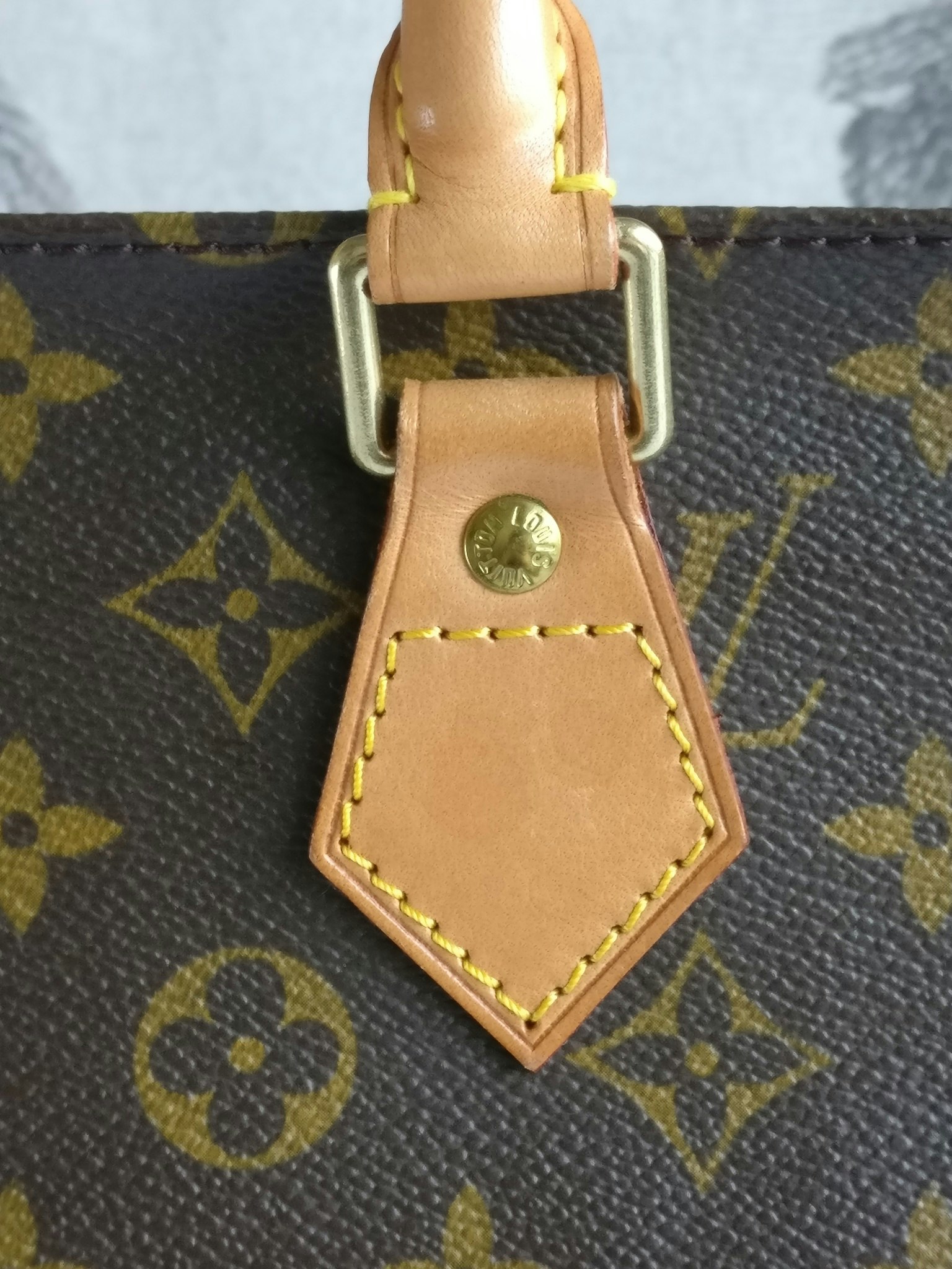 Louis Vuitton Sac Plat