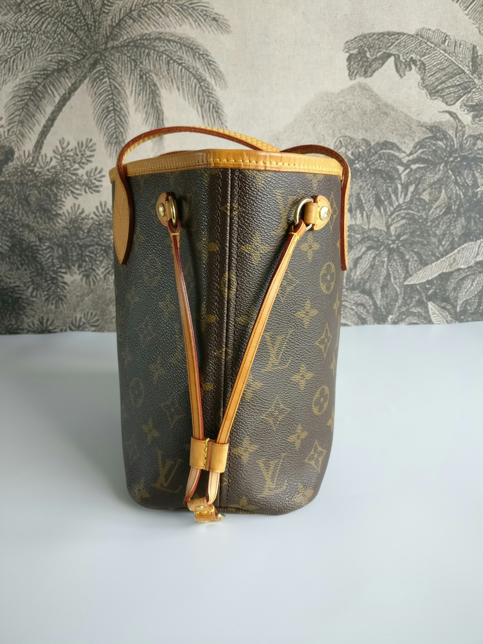 Louis Vuitton Neverfull PM