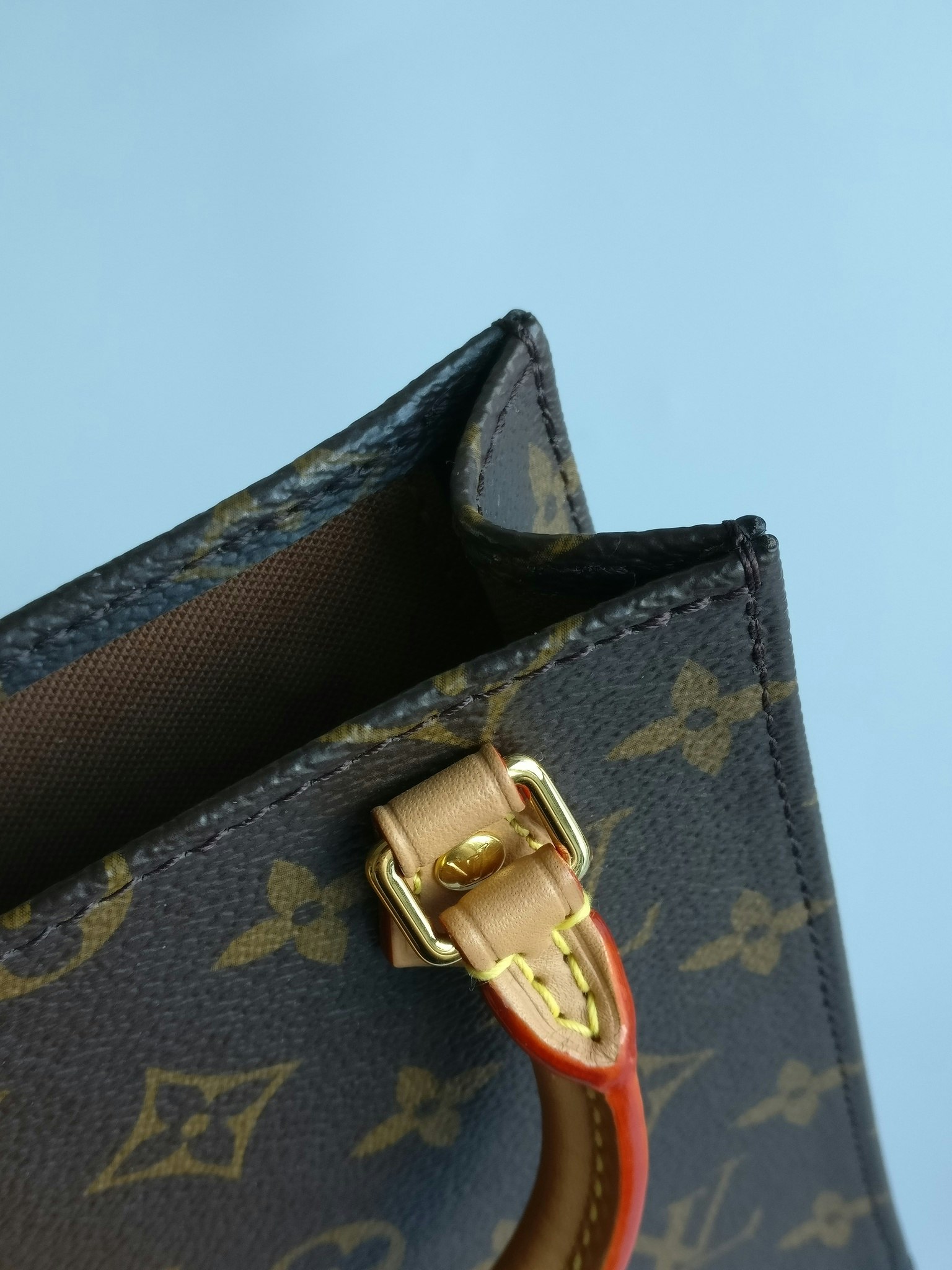 Louis Vuitton Sac Plat PM