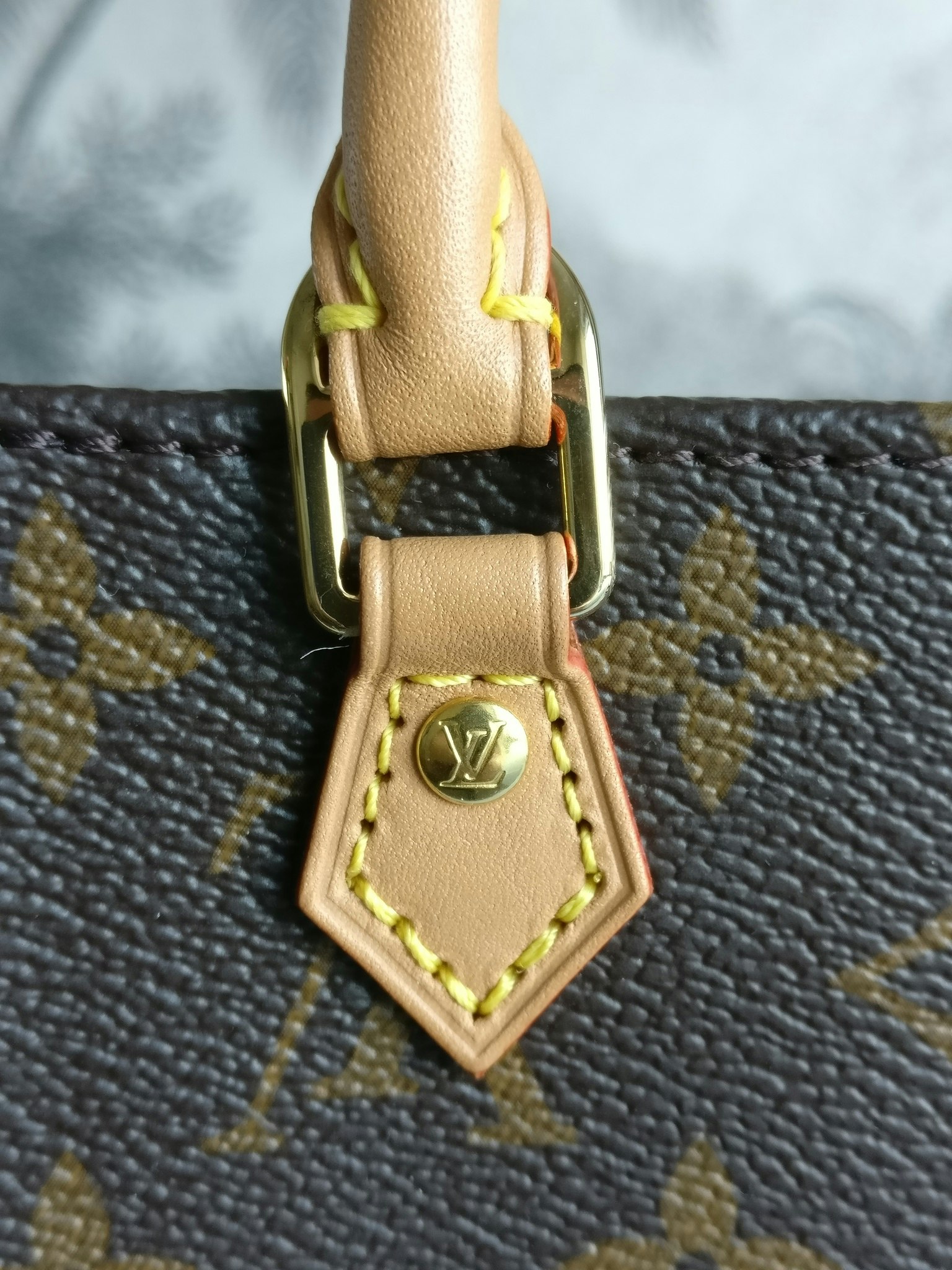 Louis Vuitton Petit Sac Plat