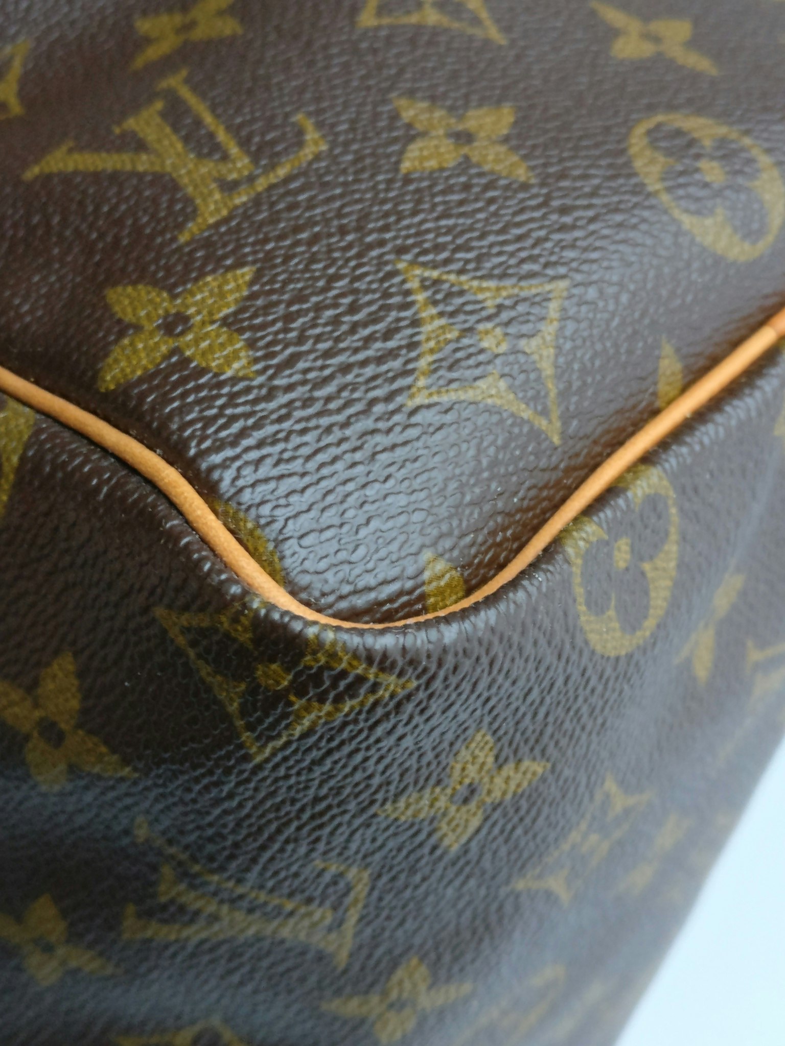 Louis Vuitton Speedy 25