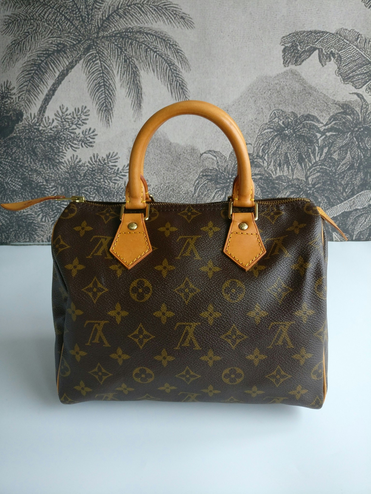 Louis Vuitton Speedy 25