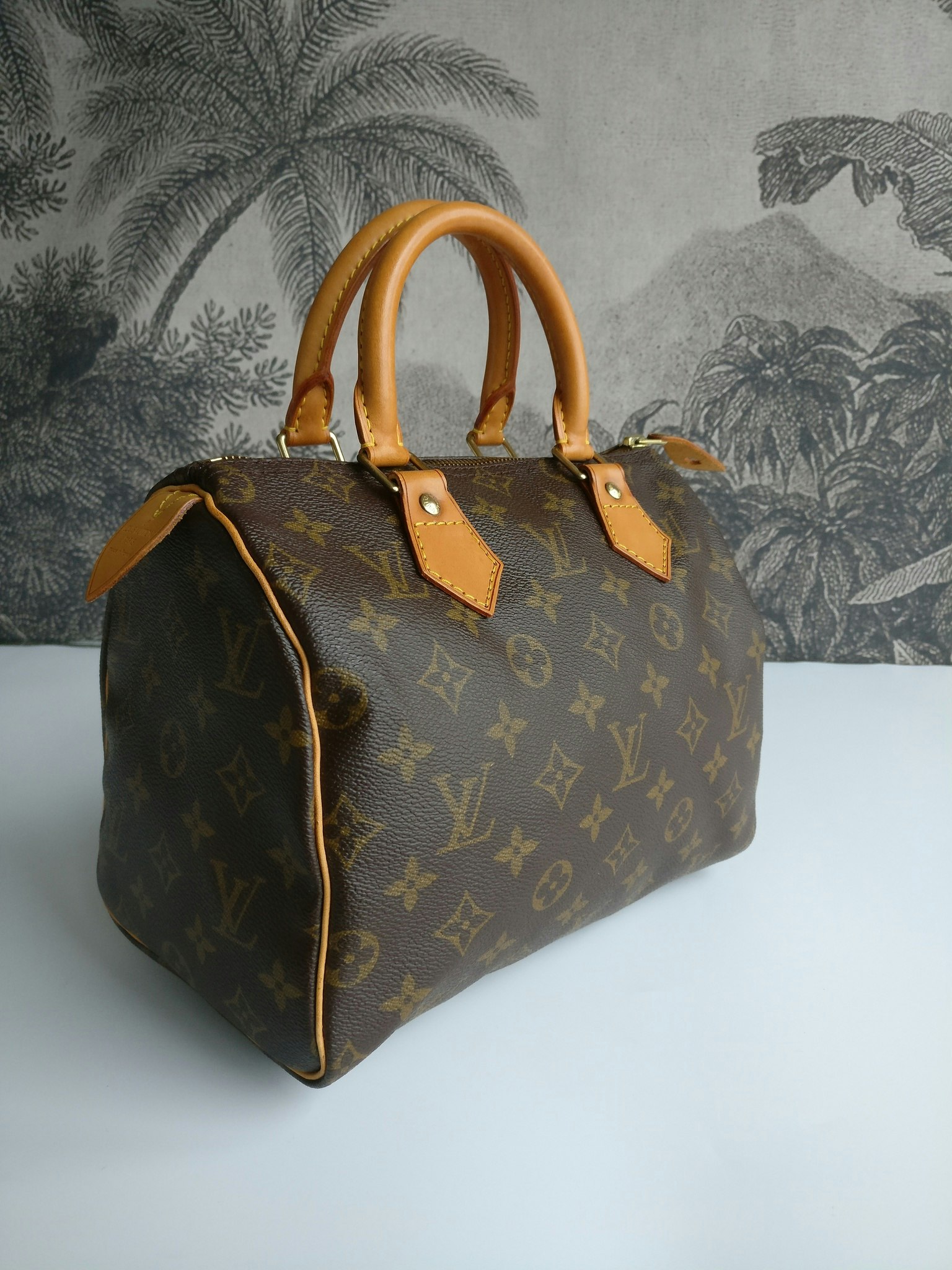 Louis Vuitton Speedy 25