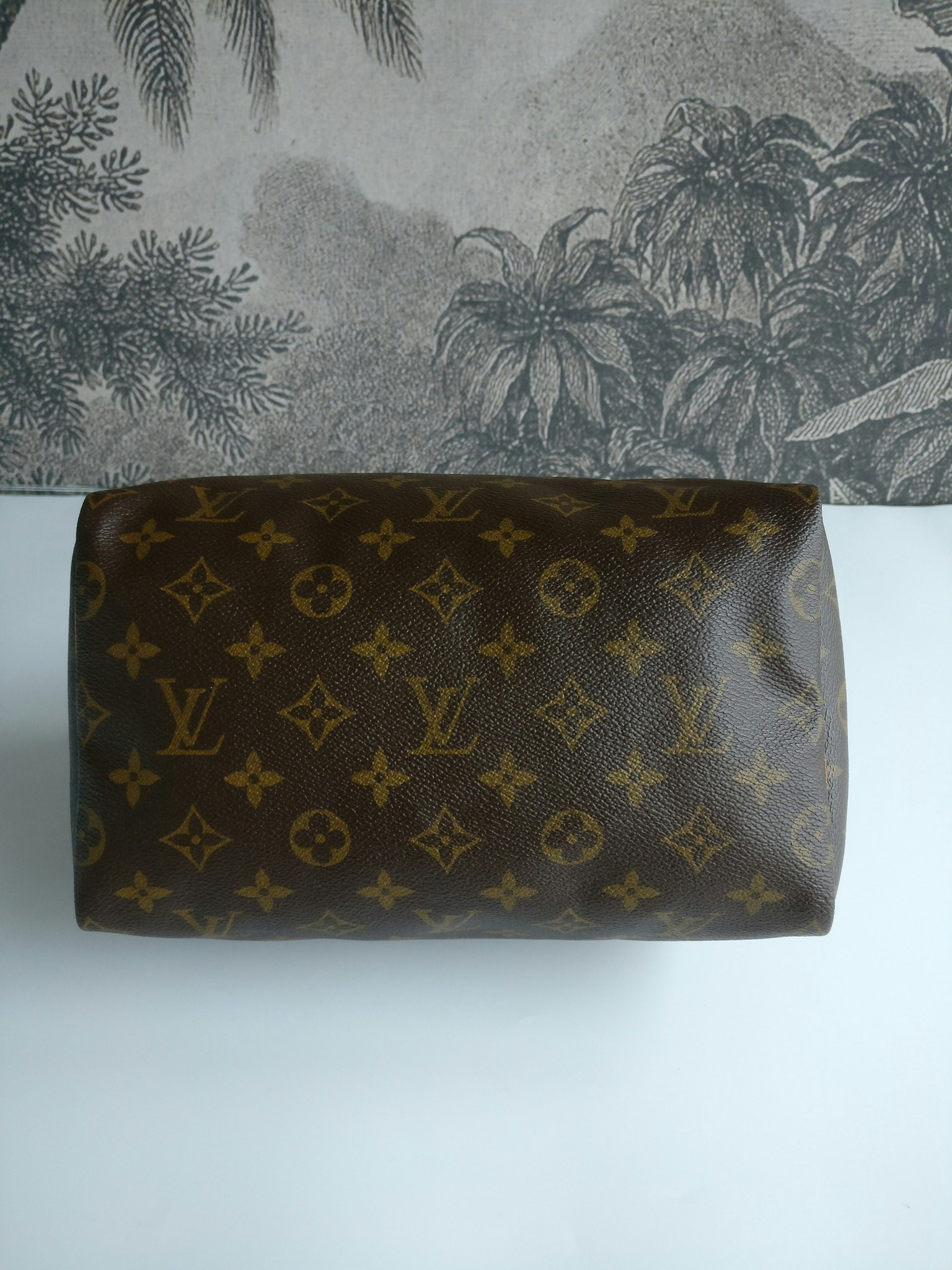 Louis Vuitton Speedy 25