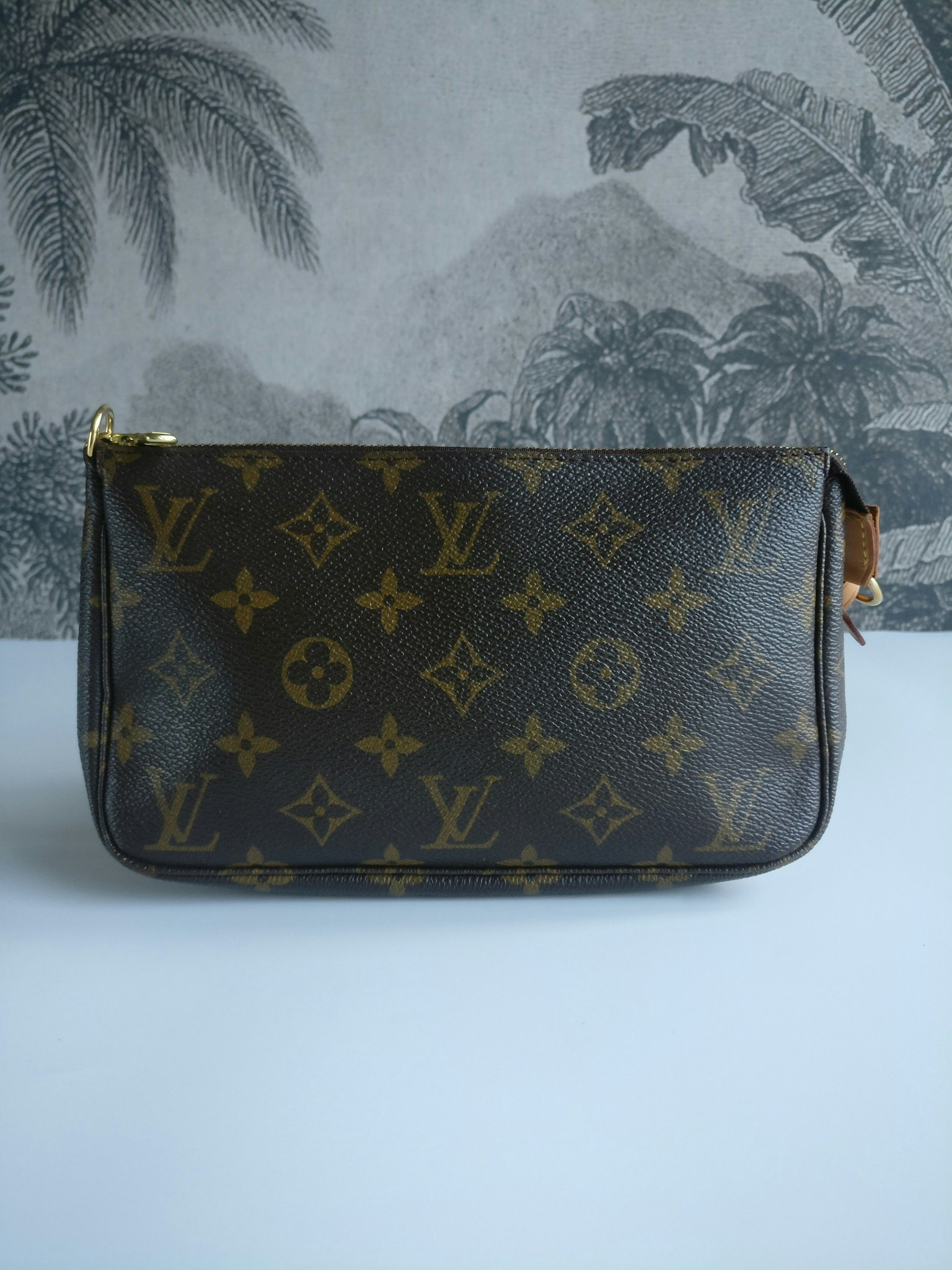 Louis Vuitton Pochette Accessoires