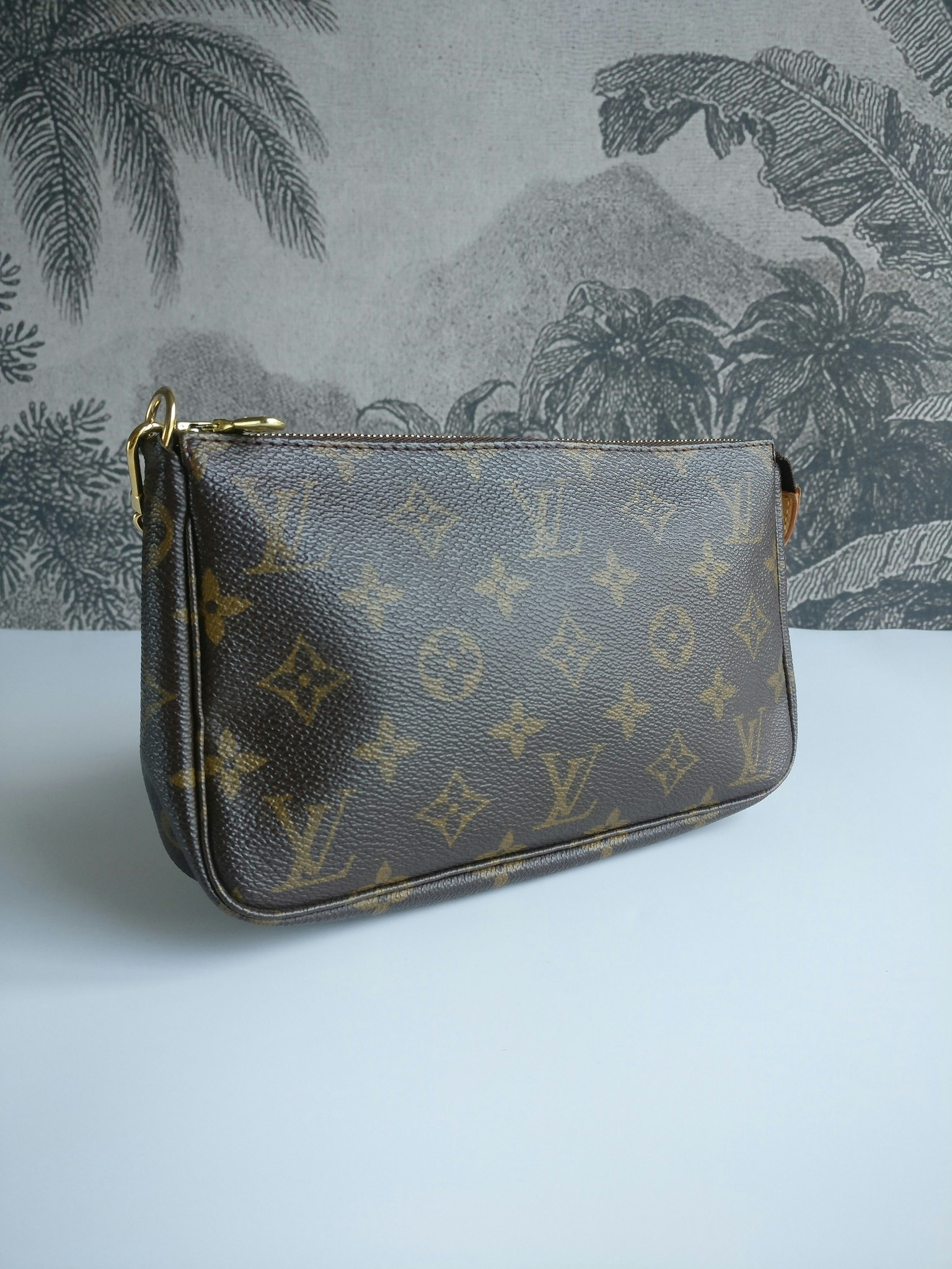 Louis Vuitton Pochette Accessoires