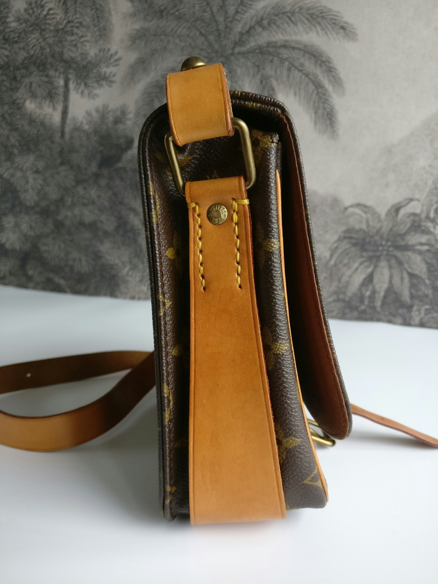 Louis Vuitton Cartouchiere MM