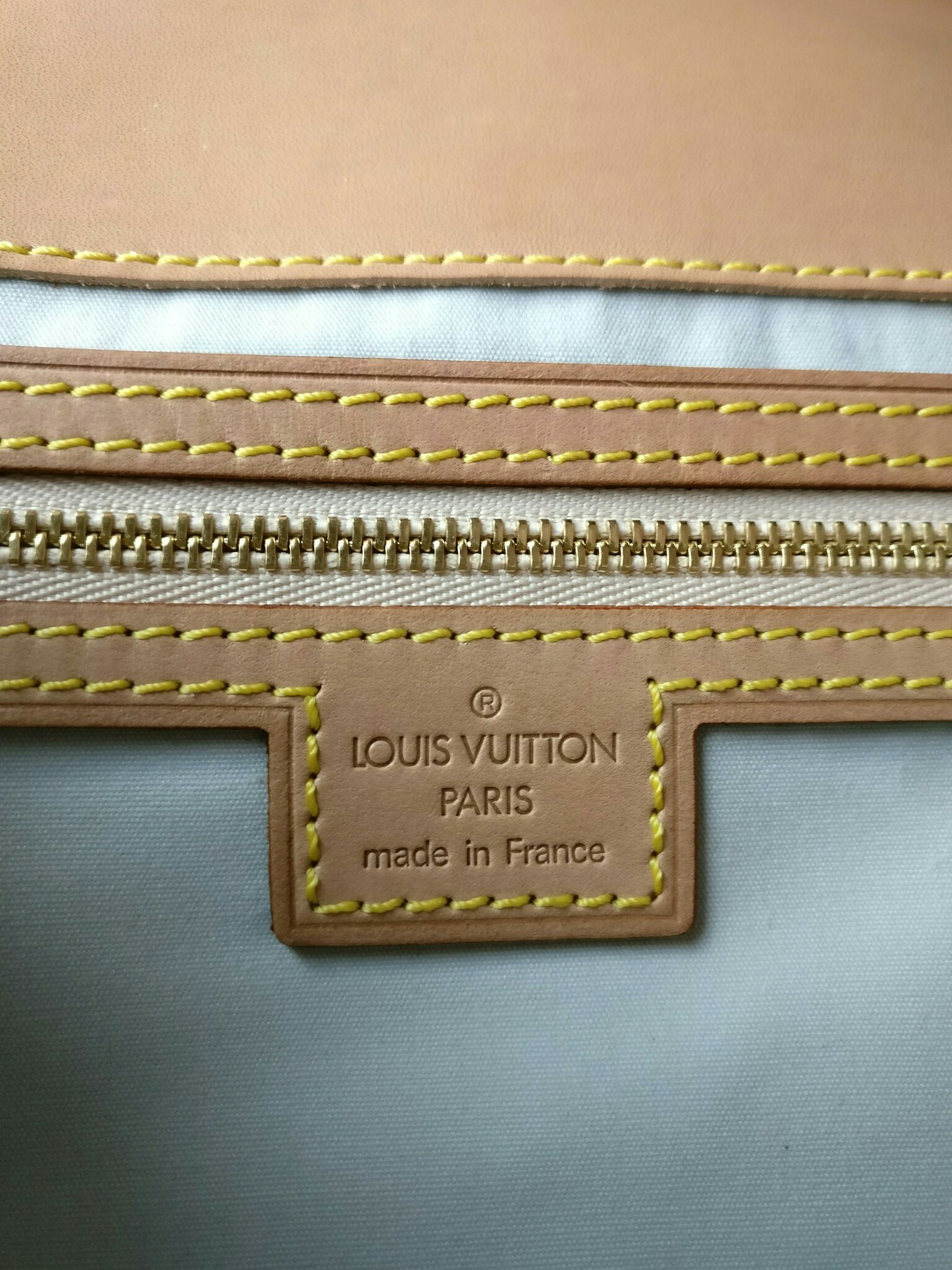 Louis Vuitton Mini Lin Camille