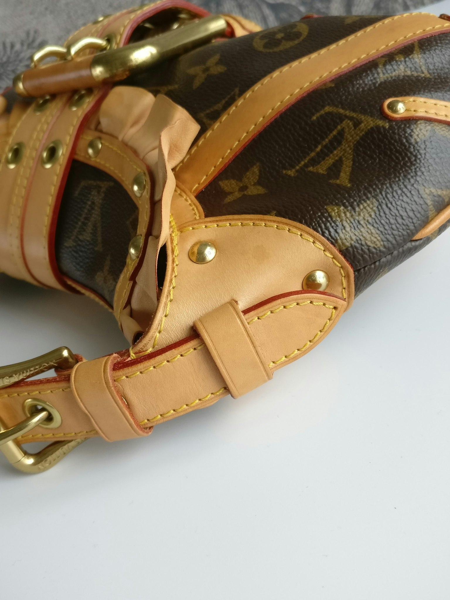 Louis Vuitton Leonor Monogram Shoulder bag ○ Labellov ○ Buy and