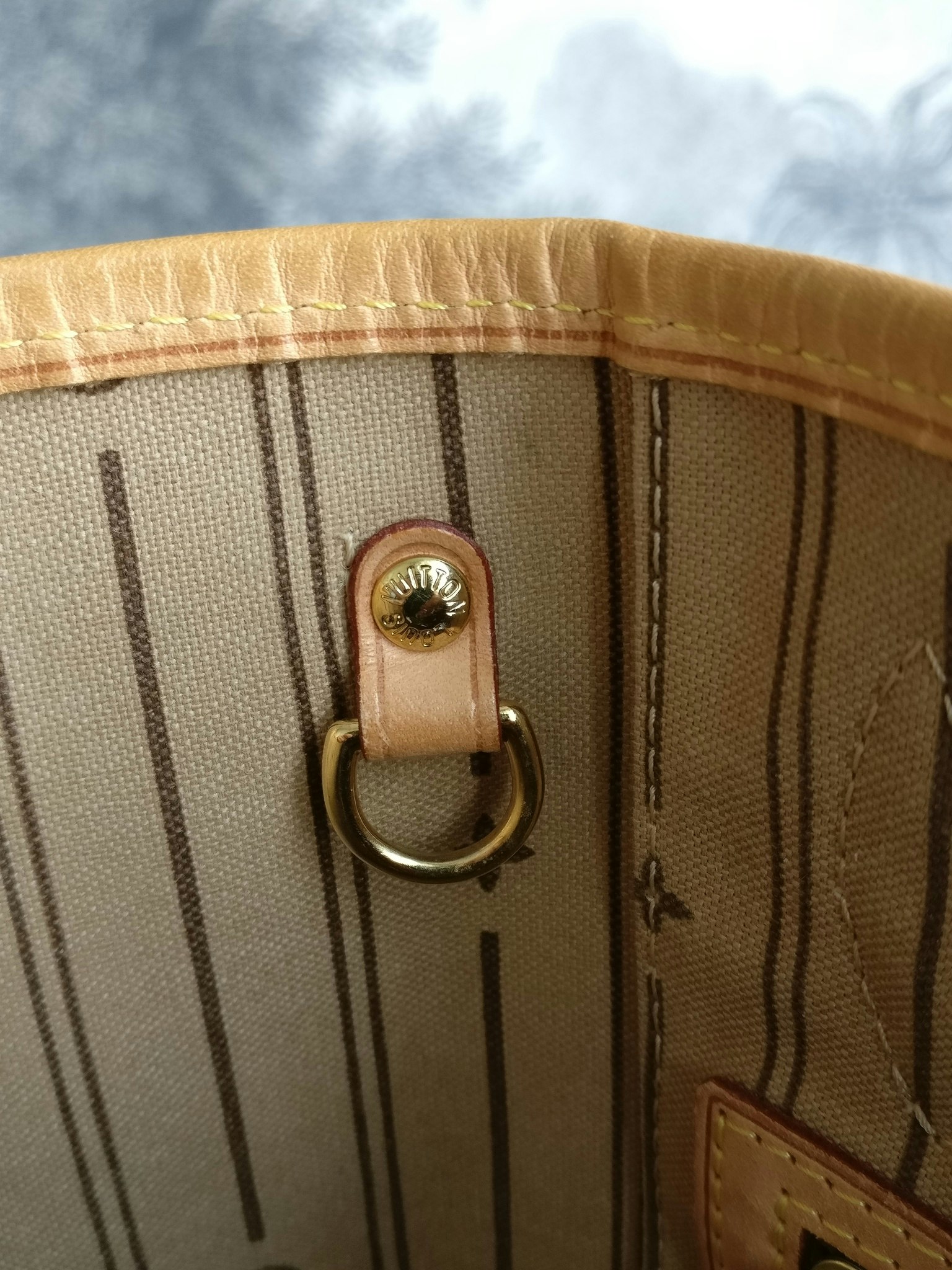 Louis Vuitton Neverfull PM