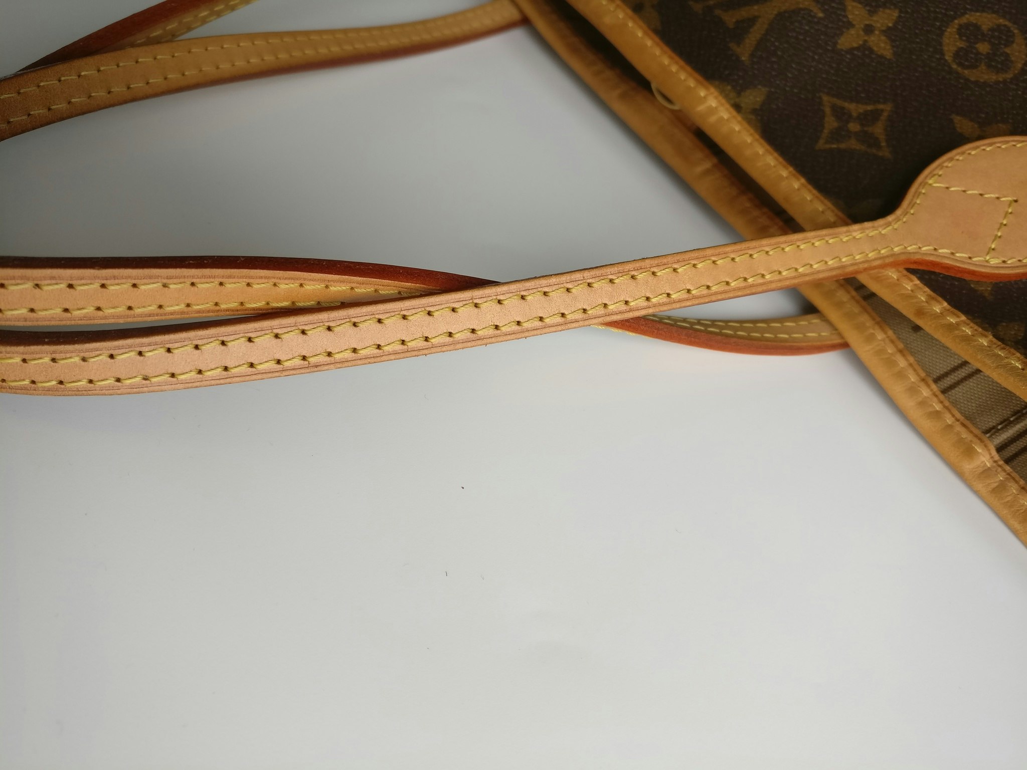 Louis Vuitton Neverfull PM