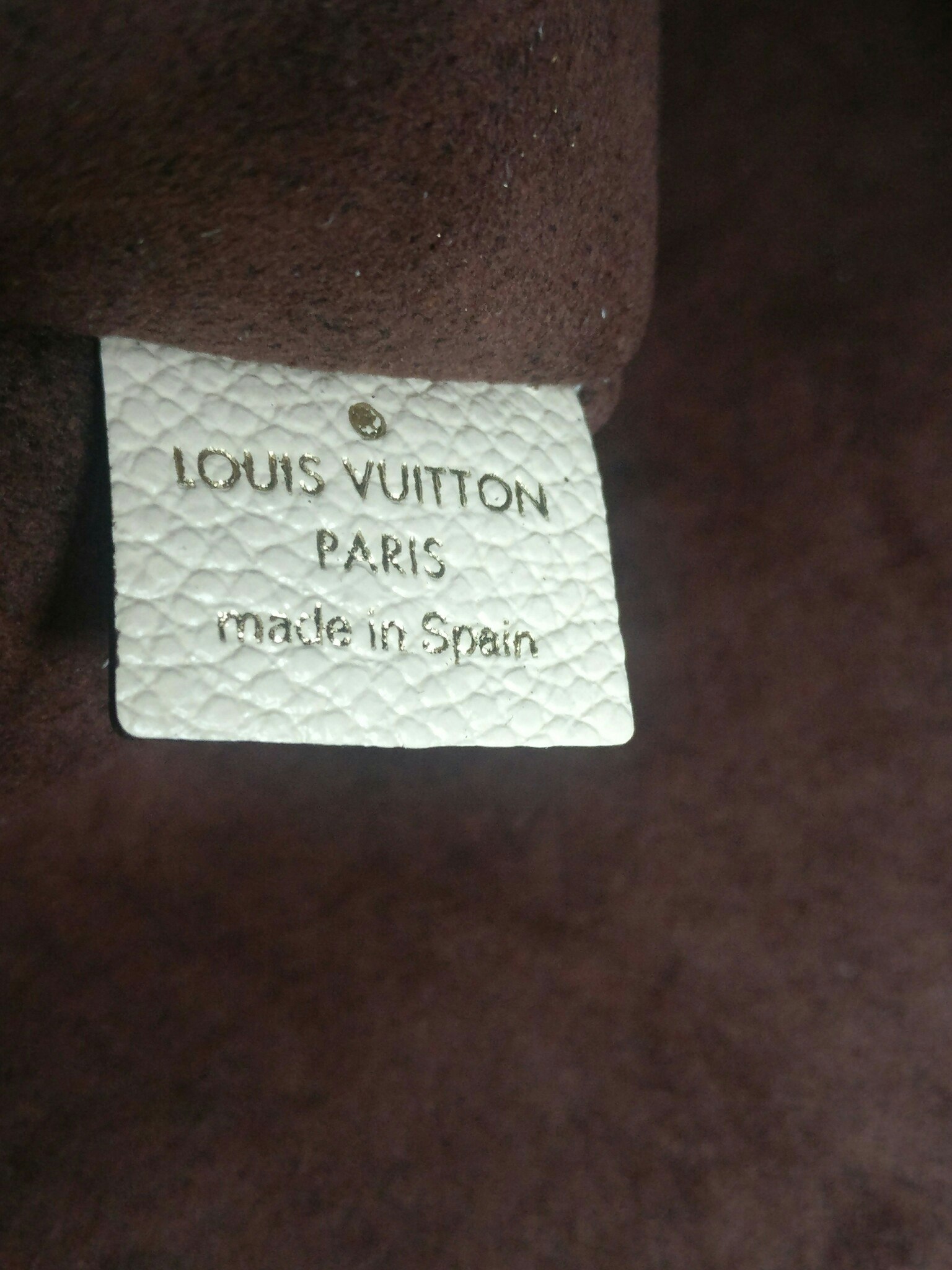 Louis Vuitton Neverfull empreinte clutch