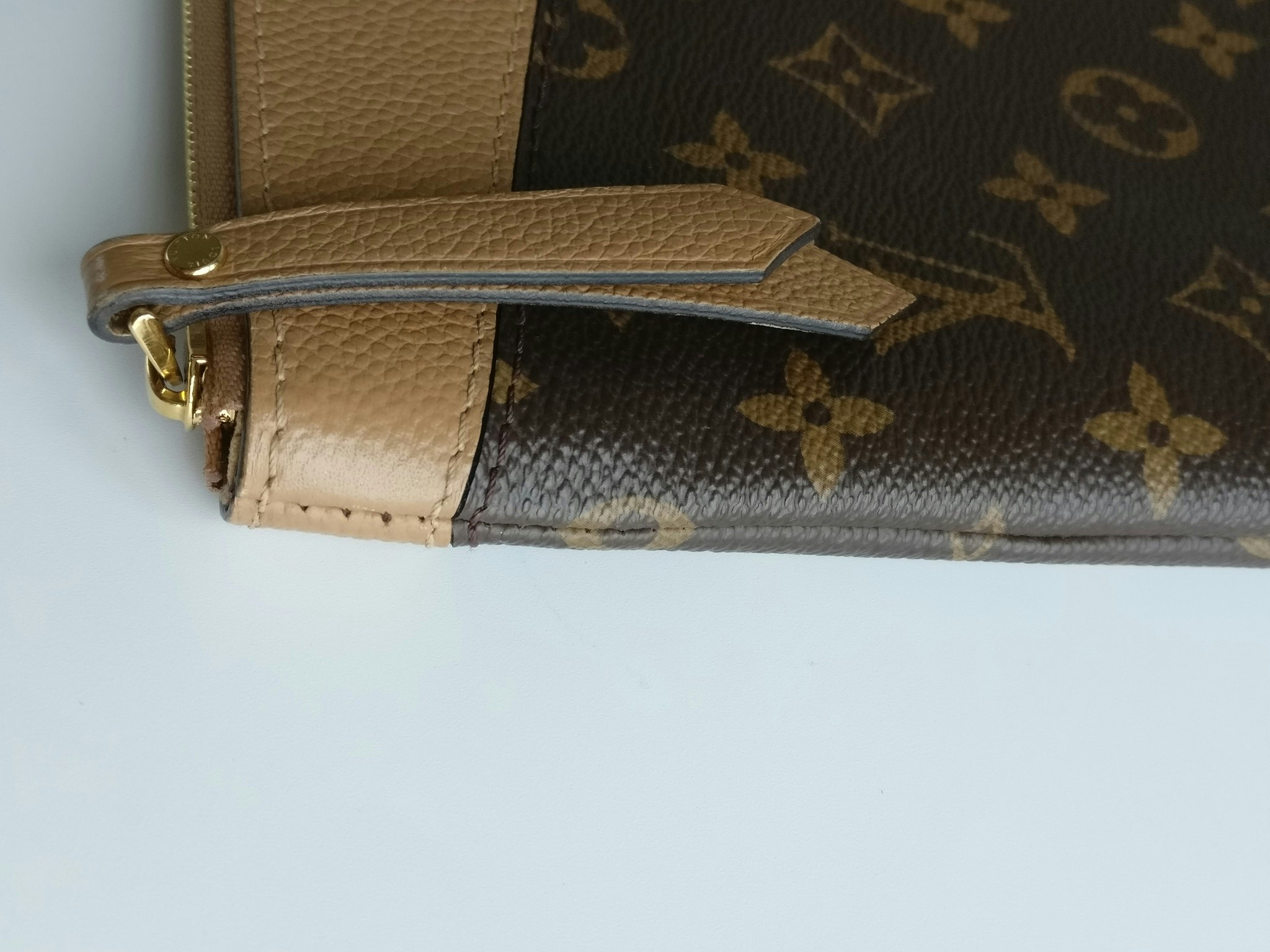 Louis Vuitton Daily Pouch