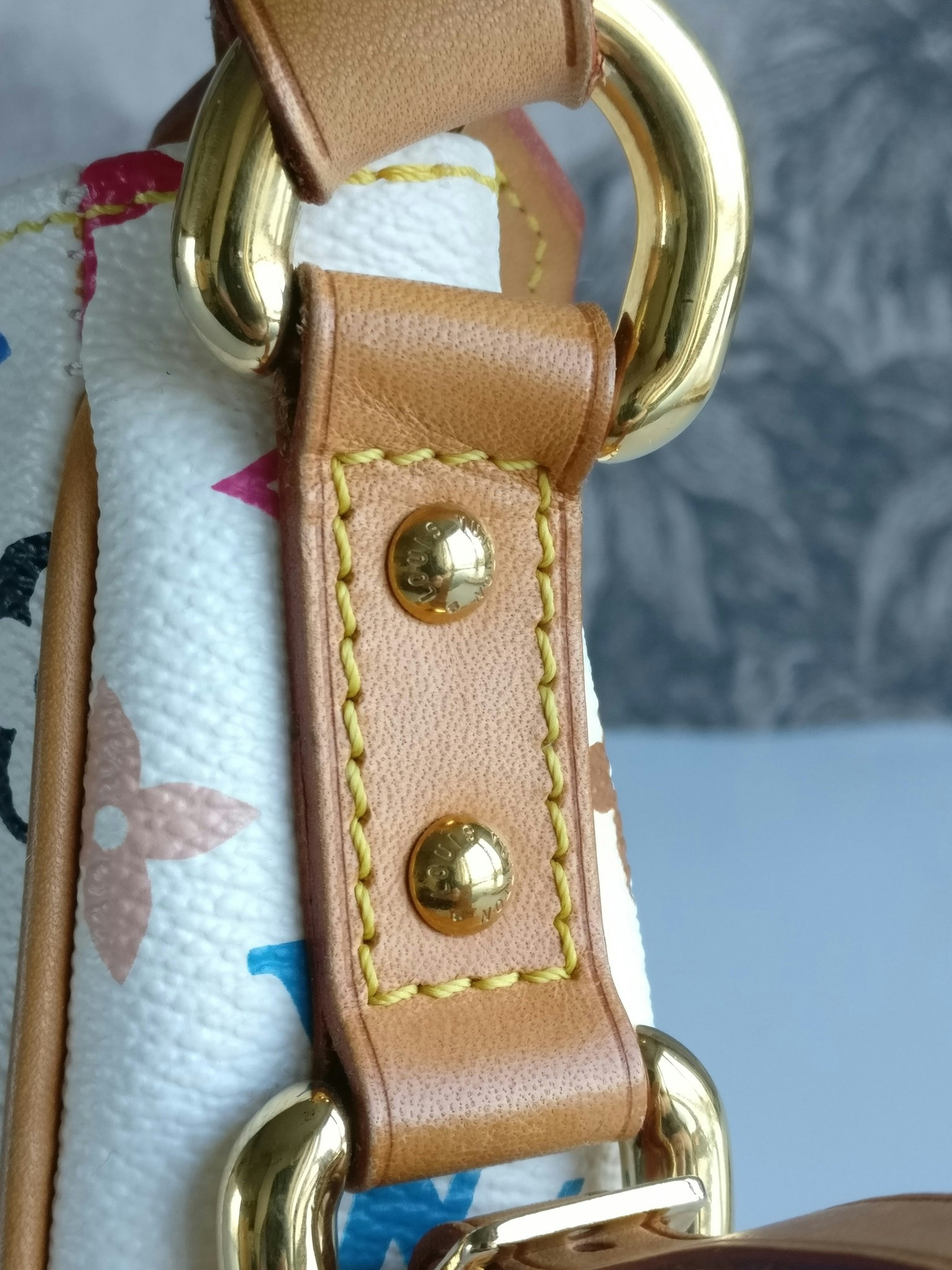 Louis Vuitton Lodge PM Multicolore