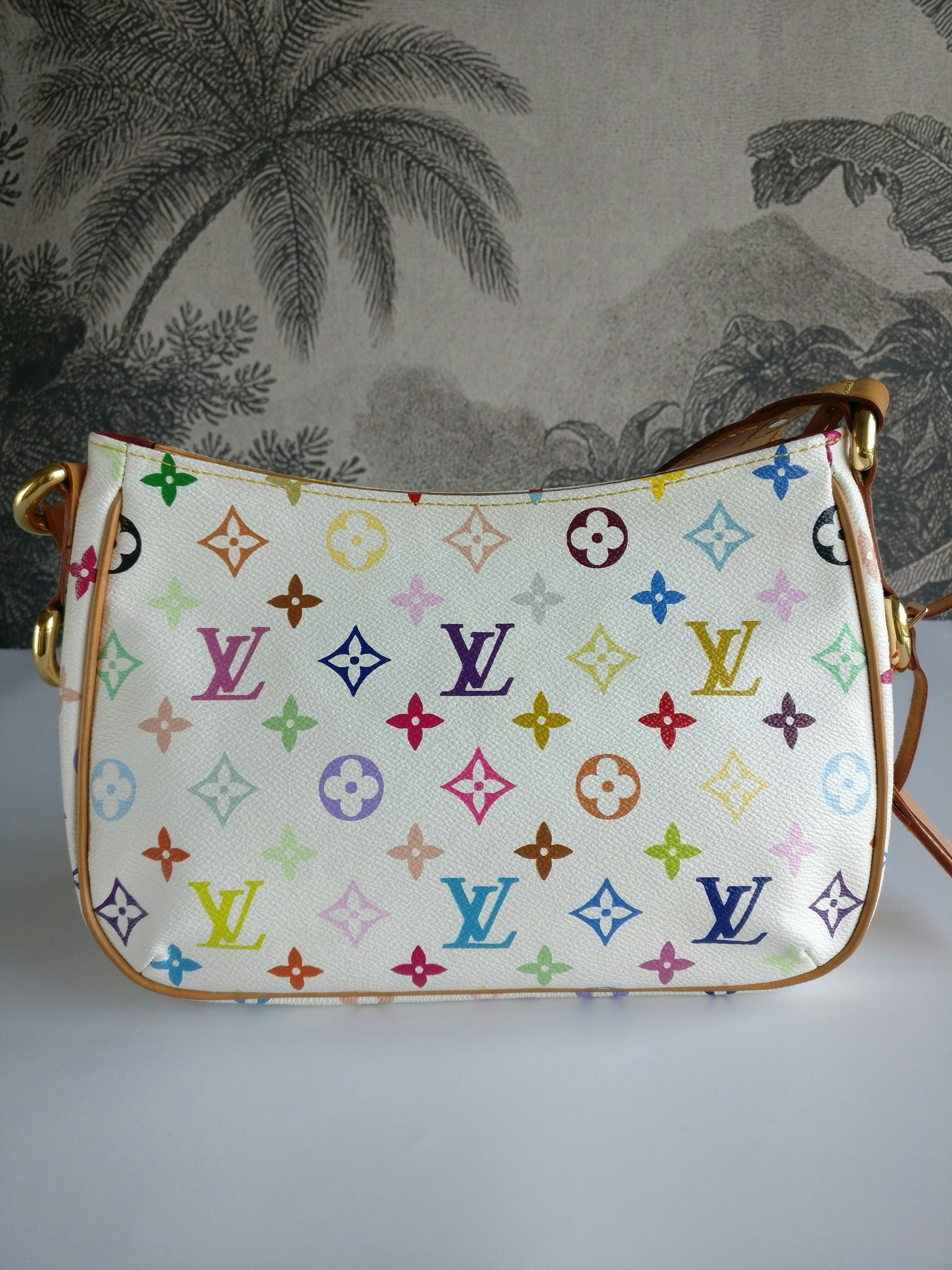 Louis Vuitton Lodge PM Multicolore