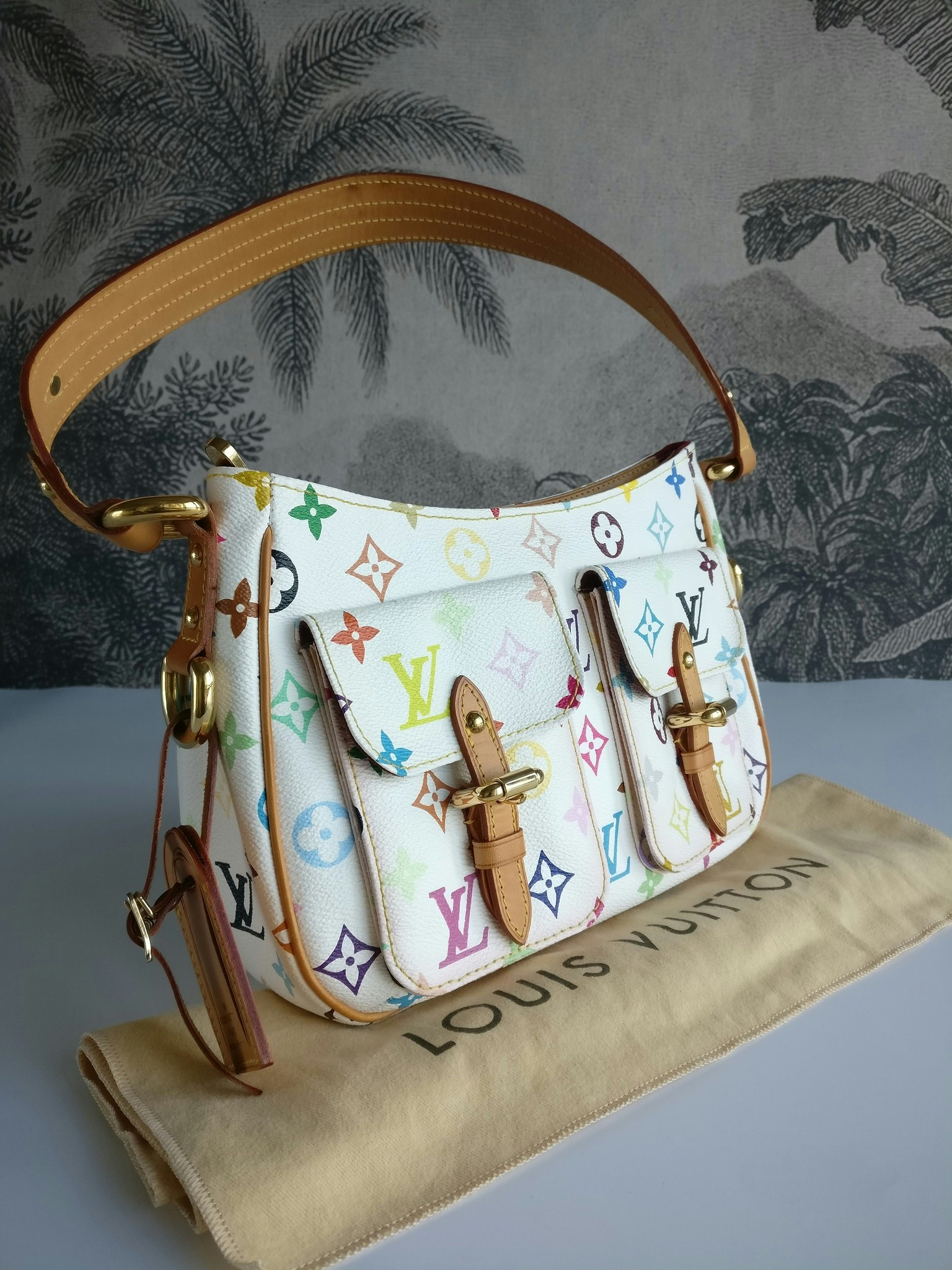 Louis Vuitton Lodge PM Multicolore