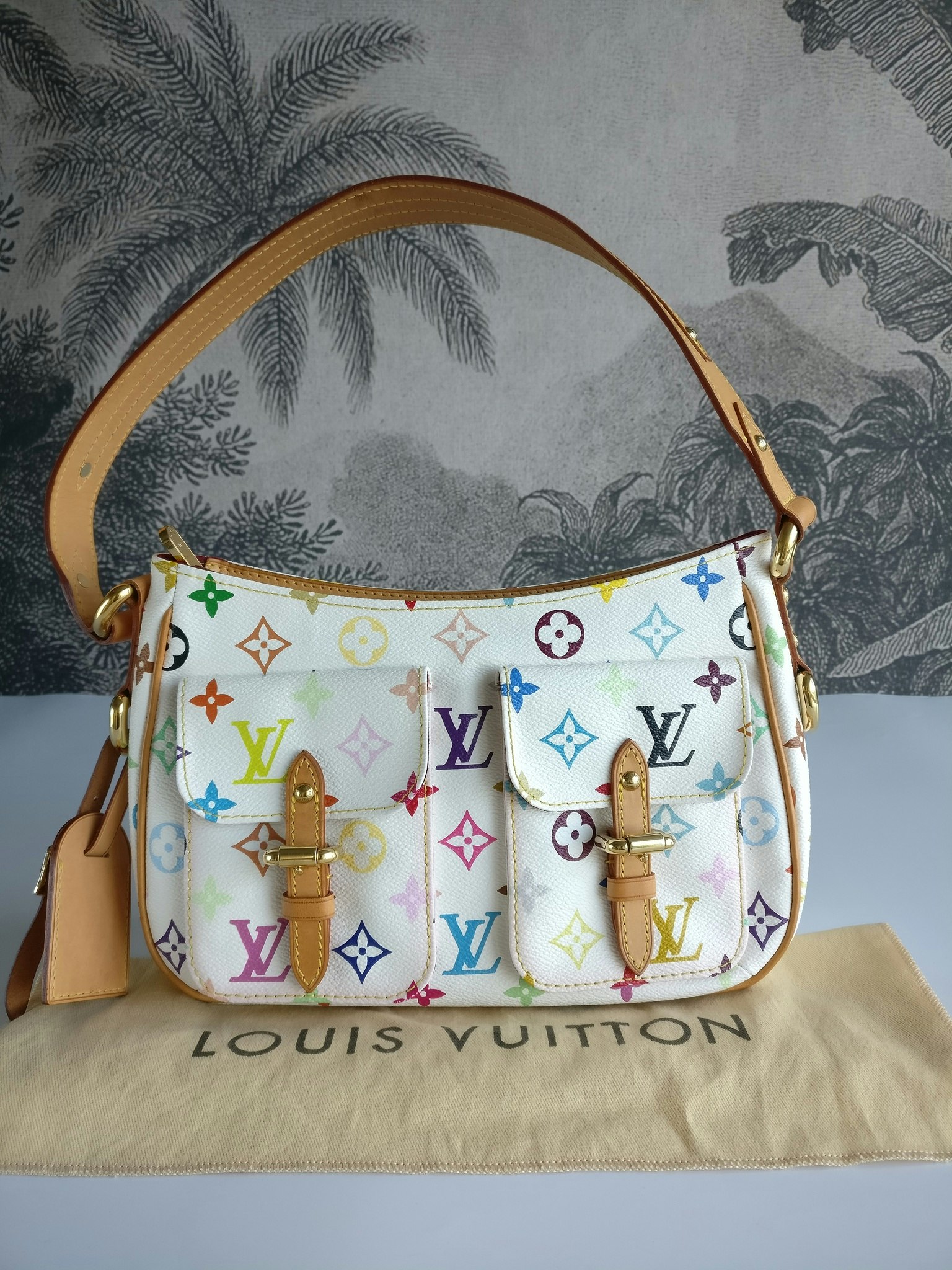 Louis Vuitton Lodge PM Multicolore