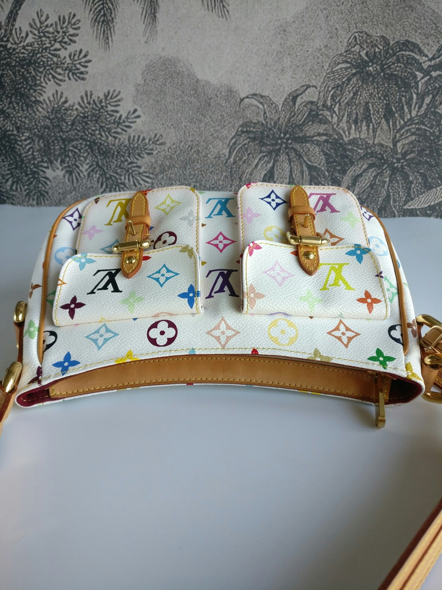 Louis Vuitton Lodge PM Multicolore