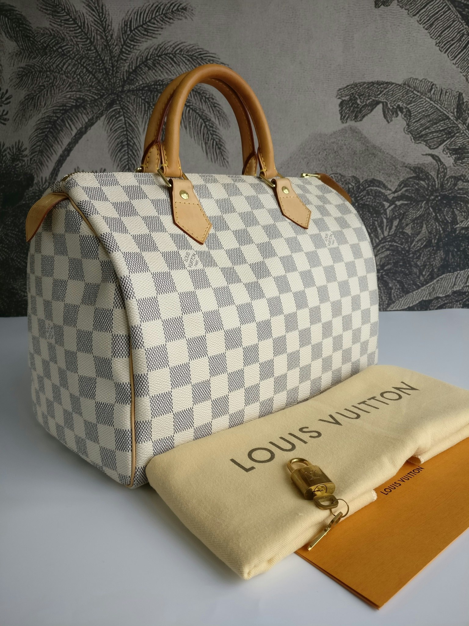 Louis Vuitton Speedy 30 damier azur