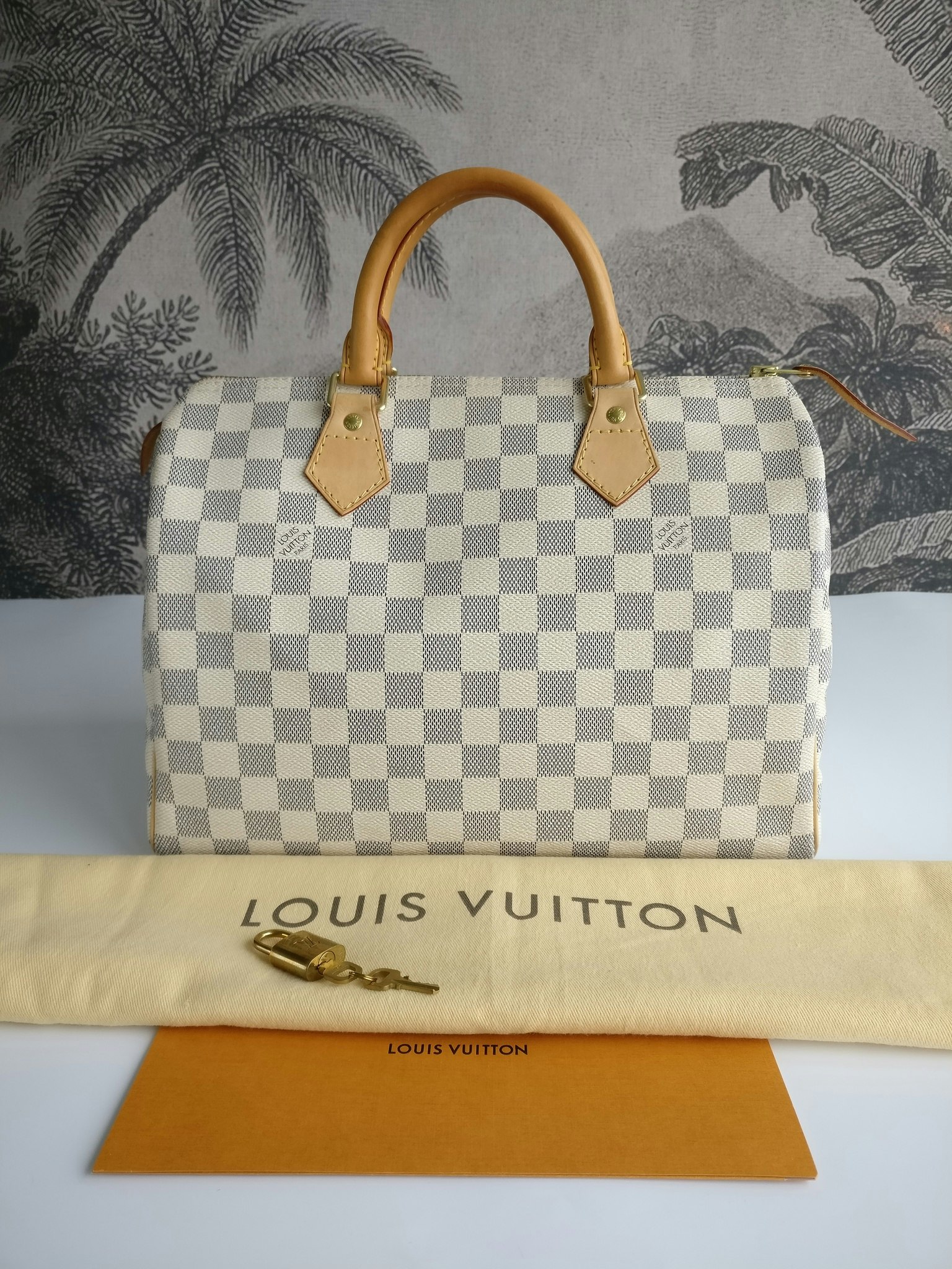 Louis Vuitton Speedy 30 damier azur