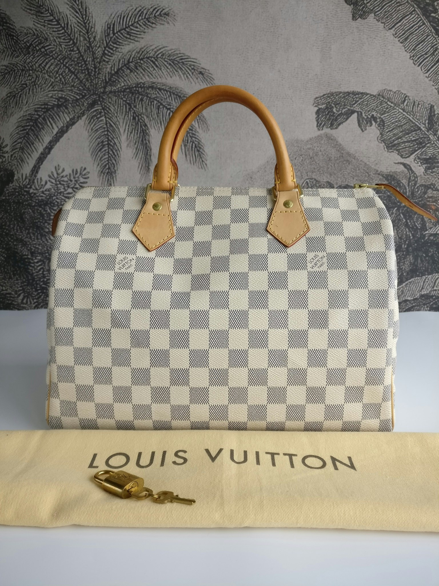 Louis Vuitton Speedy 30 damier azur