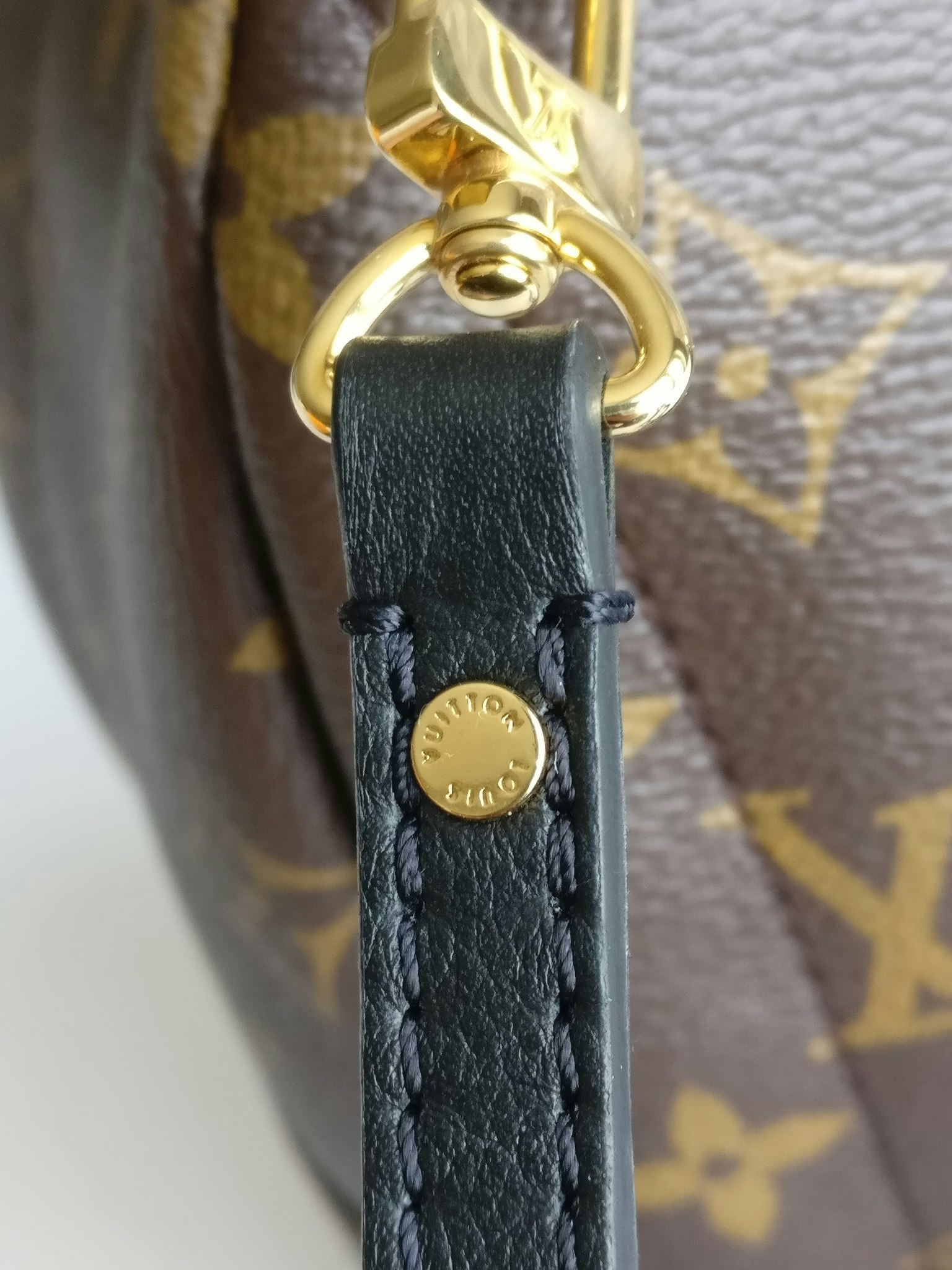 Louis Vuitton Palm Springs Mini