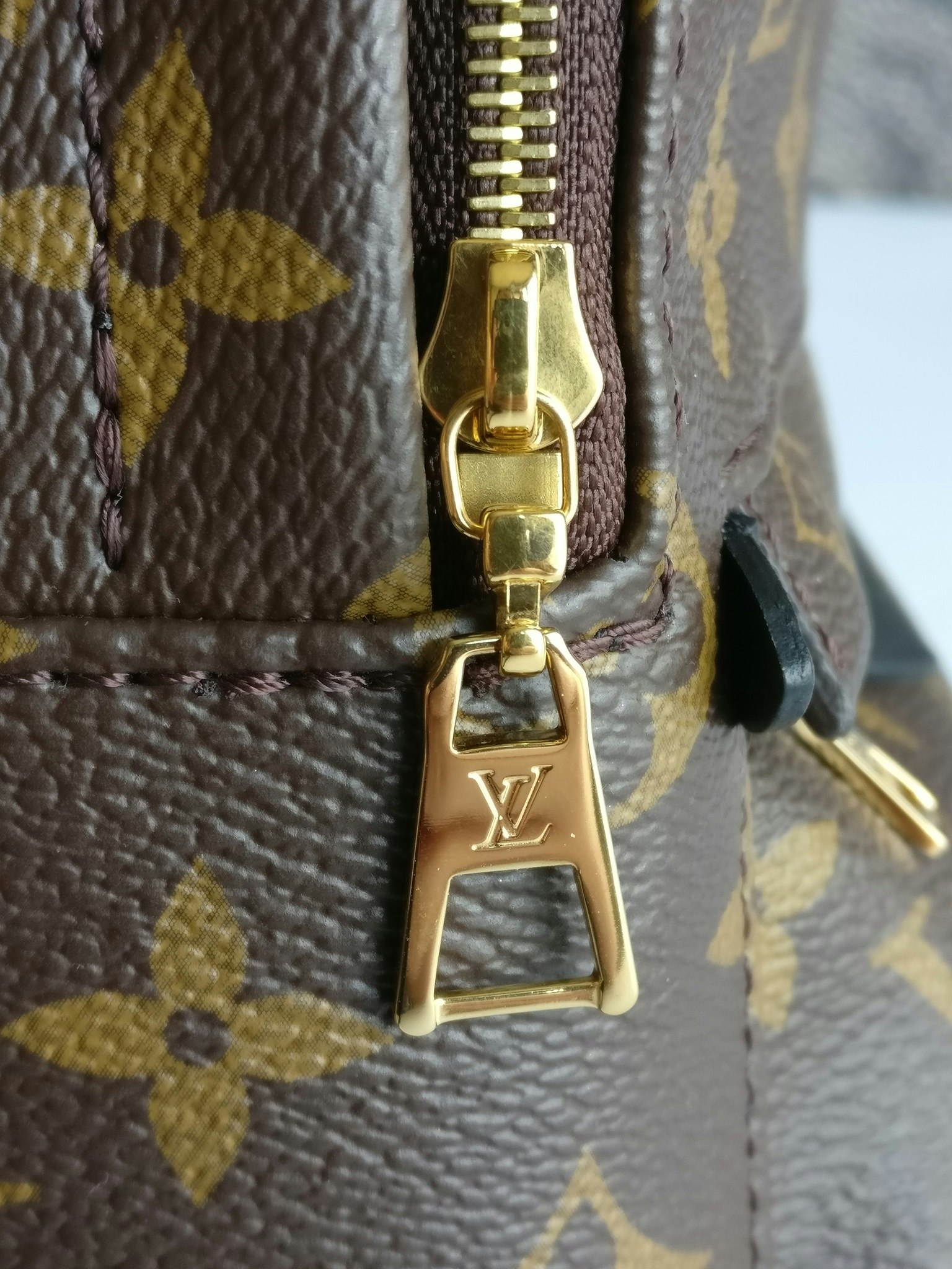 Louis Vuitton Palm Springs Mini