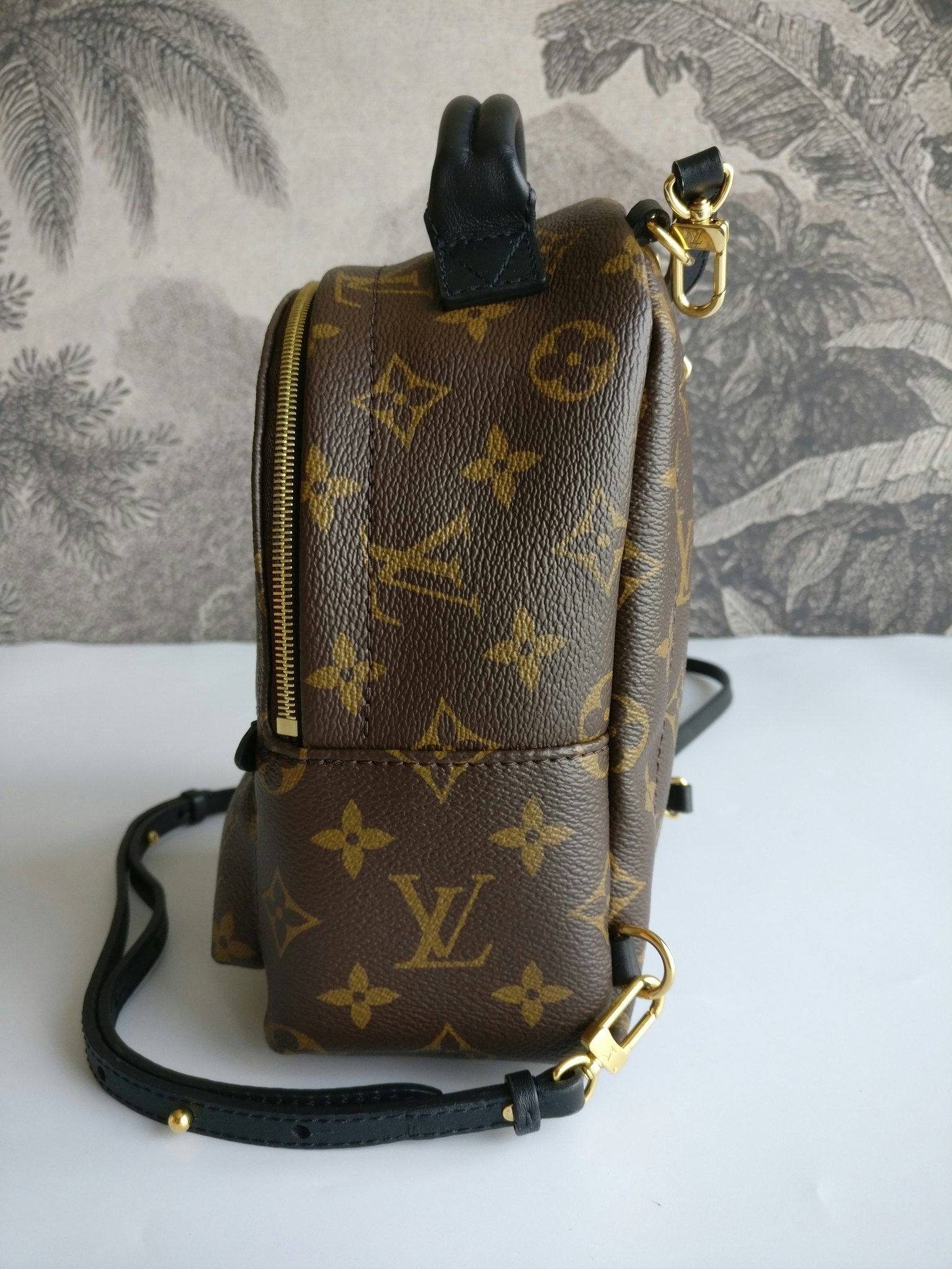 Louis Vuitton Palm Springs Mini