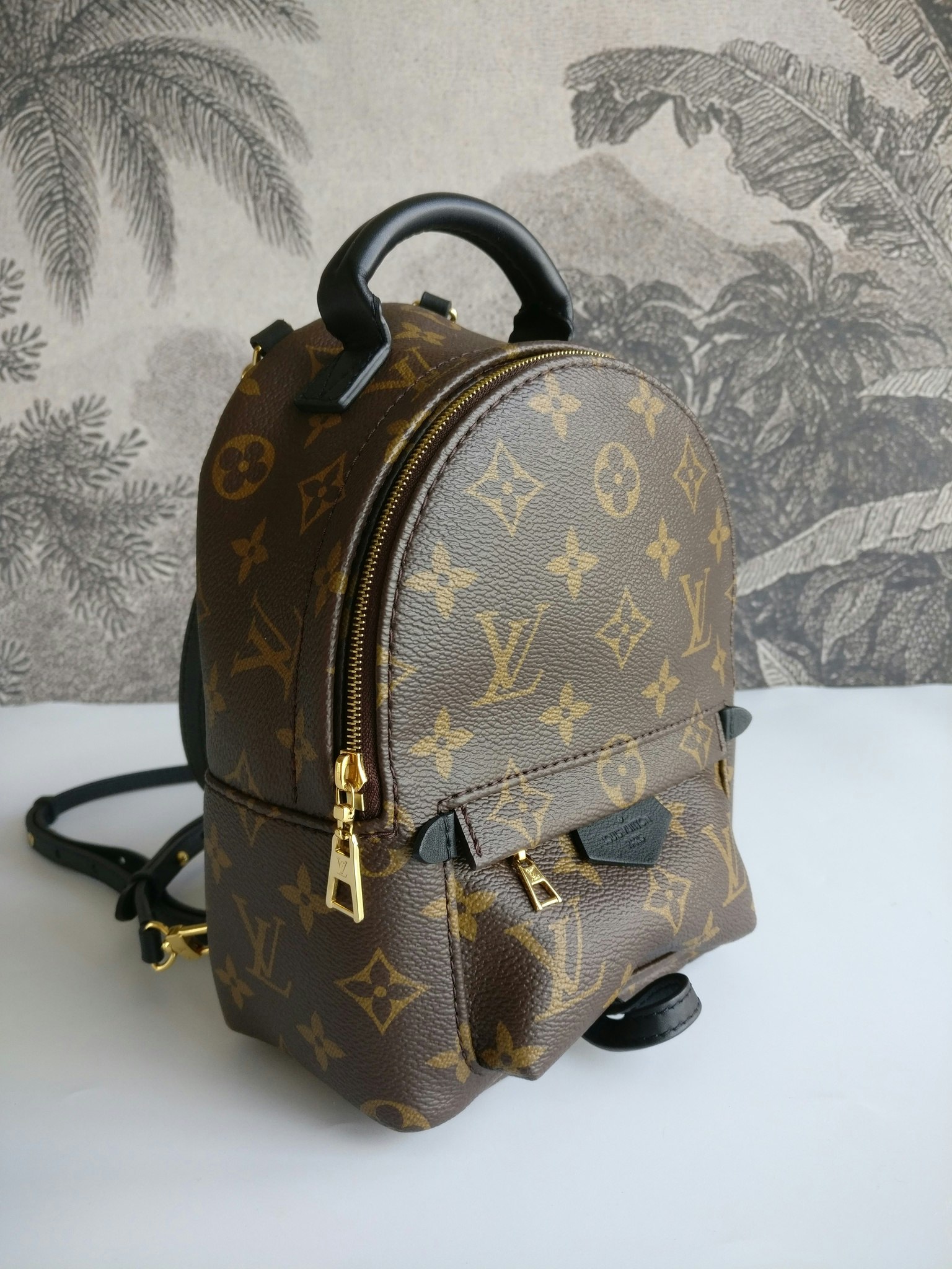 Louis+Vuitton+Palm+Springs+Backpack+Mini+Brown+Canvas+Monogram for sale  online