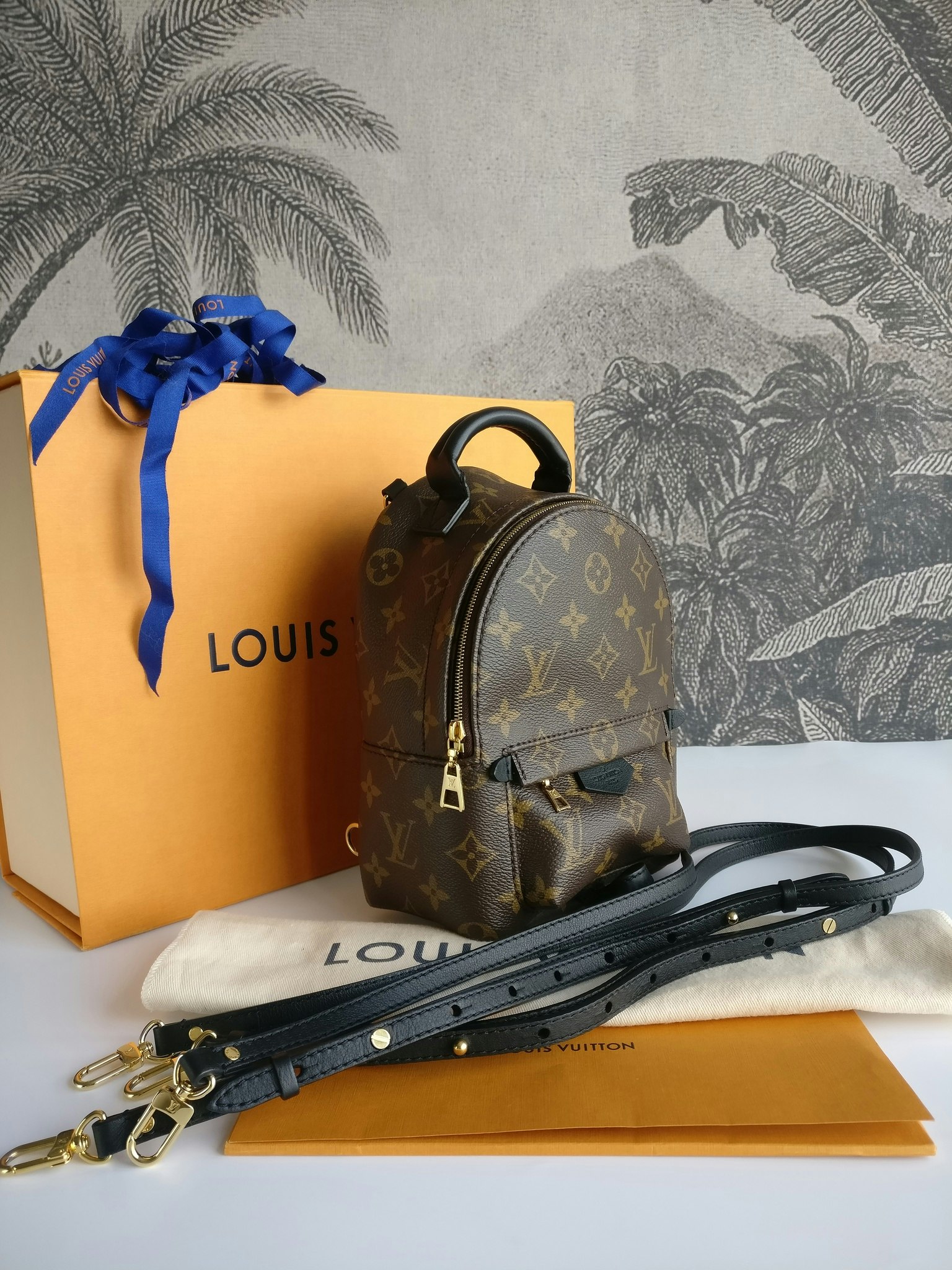 Louis Vuitton Palm Springs Mini