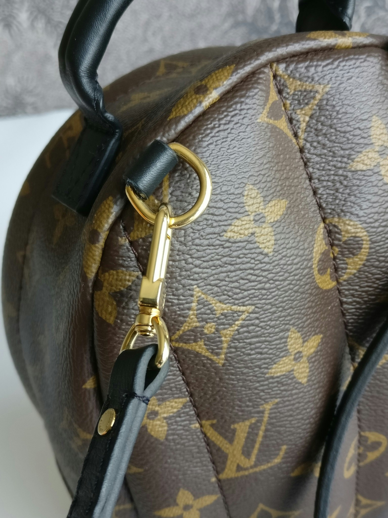 Louis Vuitton Palm Springs Mini