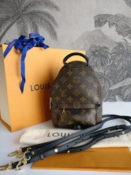 Louis Vuitton Palm Springs Mini