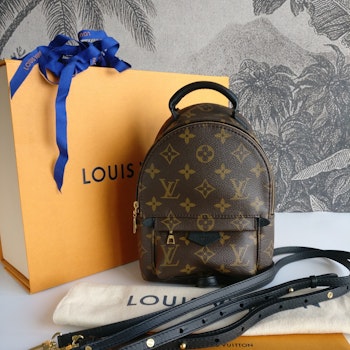 Louis Vuitton Palm Springs Mini