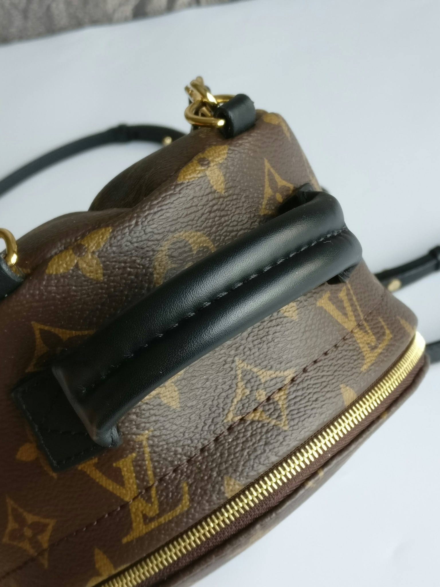 Louis Vuitton Palm Springs Mini