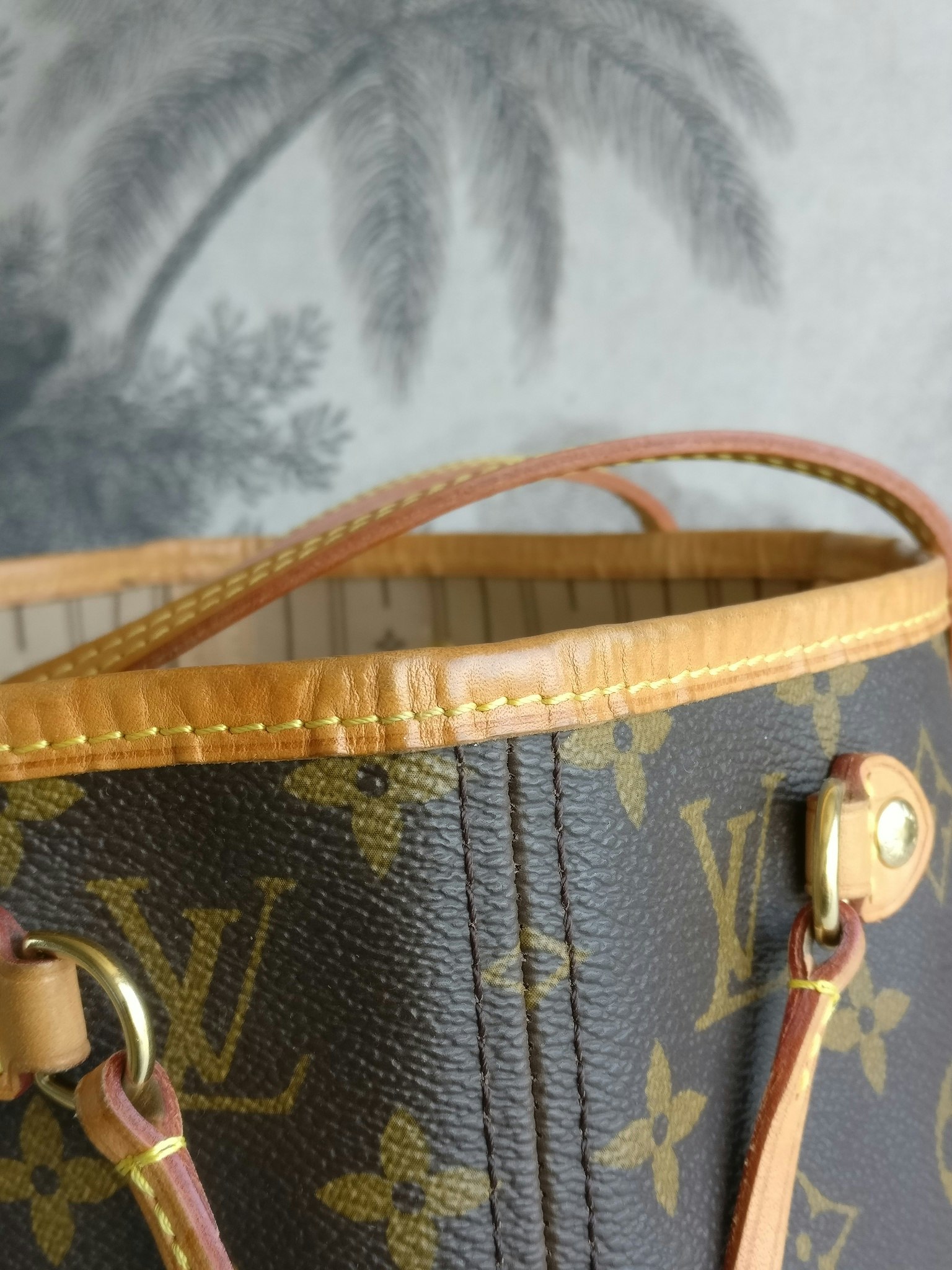 Louis Vuitton Neverfull PM